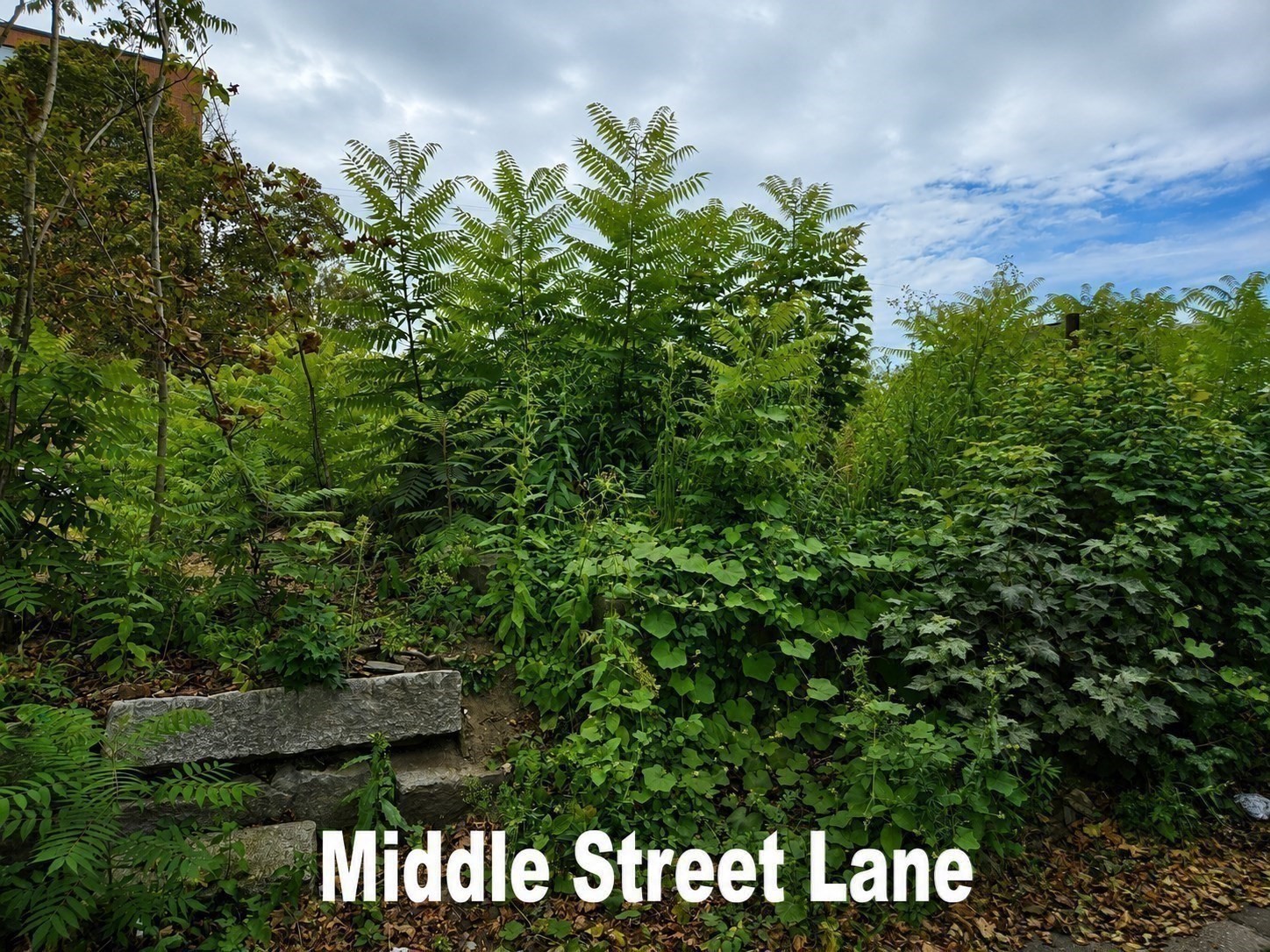68 Middle Street Property Photo 6