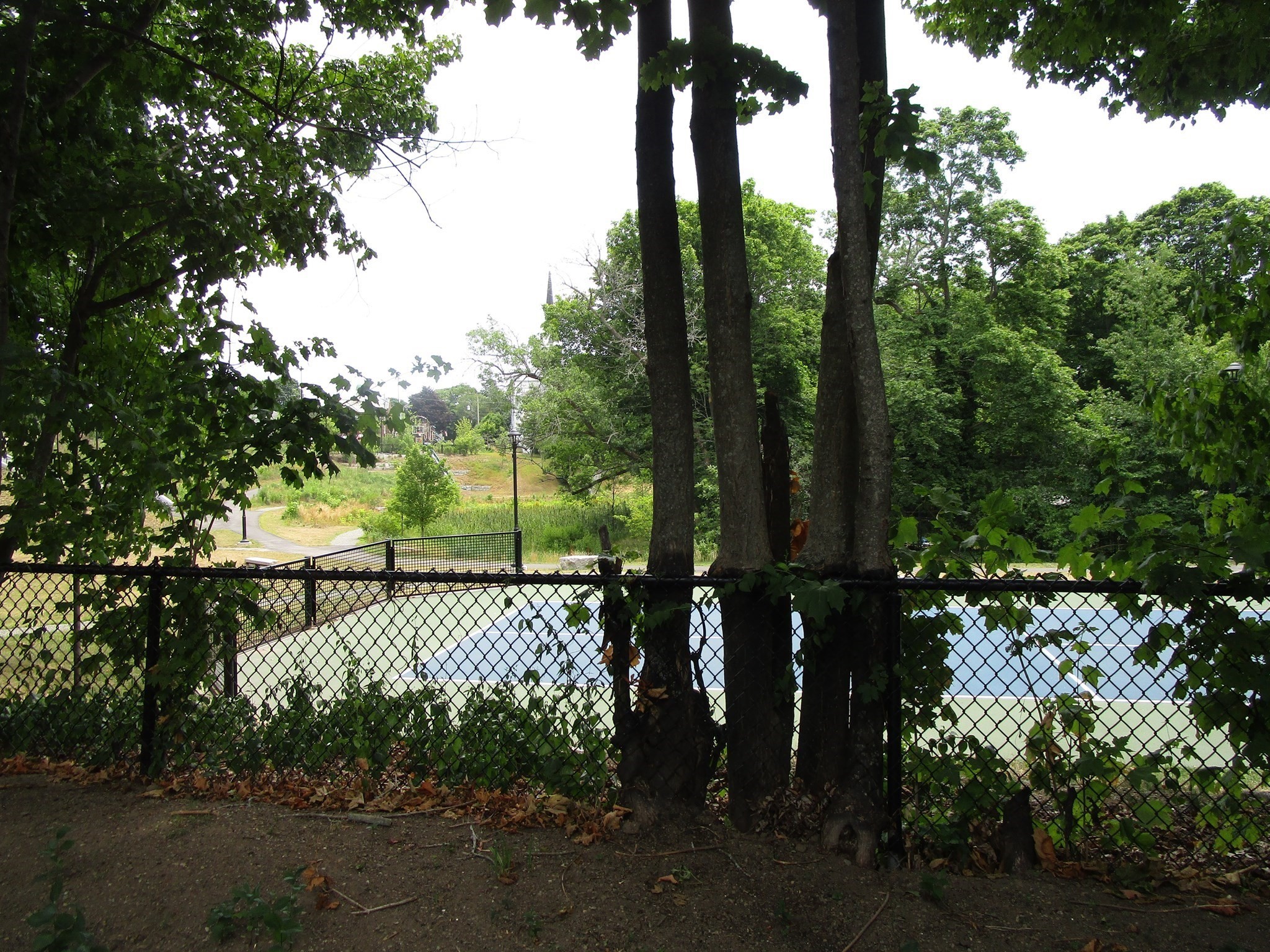 469 Bridge Street Property Photo 2