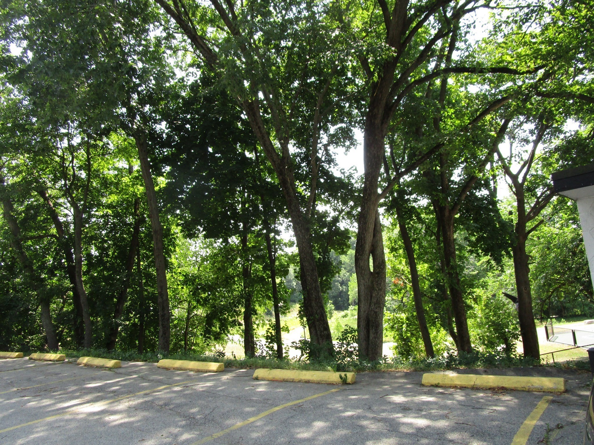 469 Bridge Street Property Photo 3