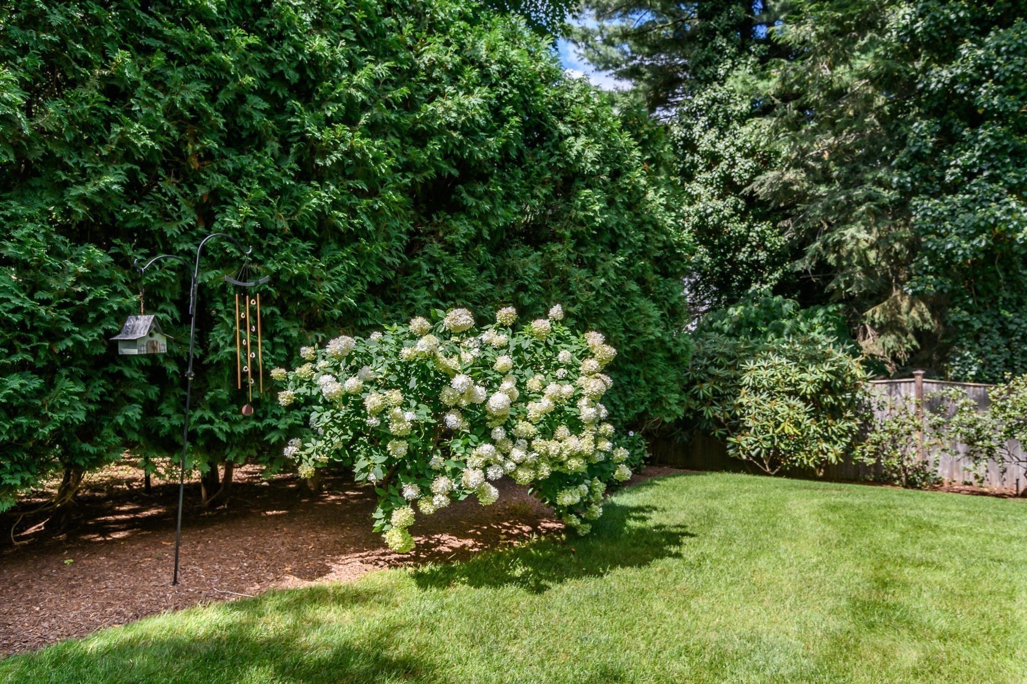 186 Oakland Street Property Photo 20