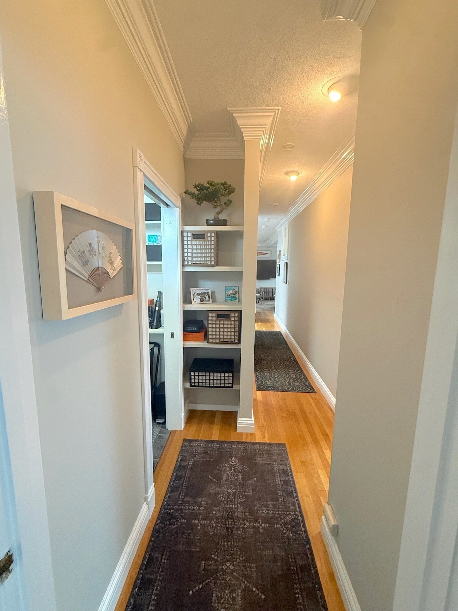 5 Cordis Street Ave # 3 Property Photo 11