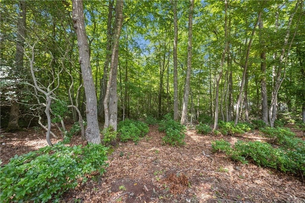 41 Amy Hart Path Property Photo 22