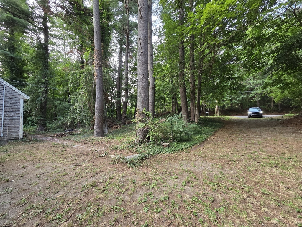 425 Main St Property Photo 8
