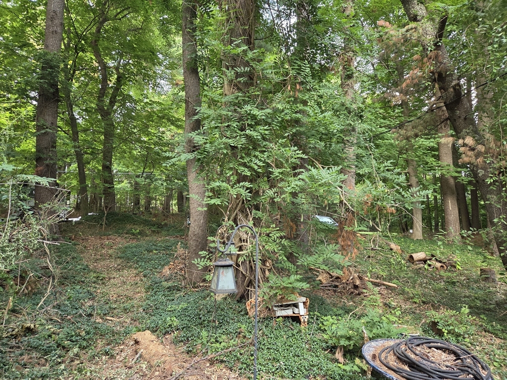 425 Main St Property Photo 10