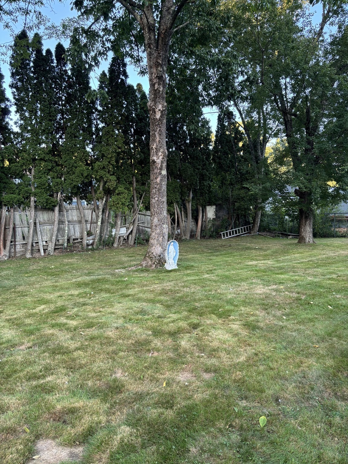 56 Eleventh Ave Property Photo 7