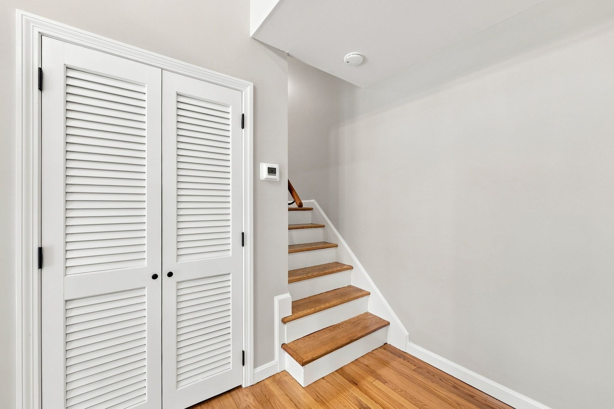 18 Munn Rd Property Photo 15