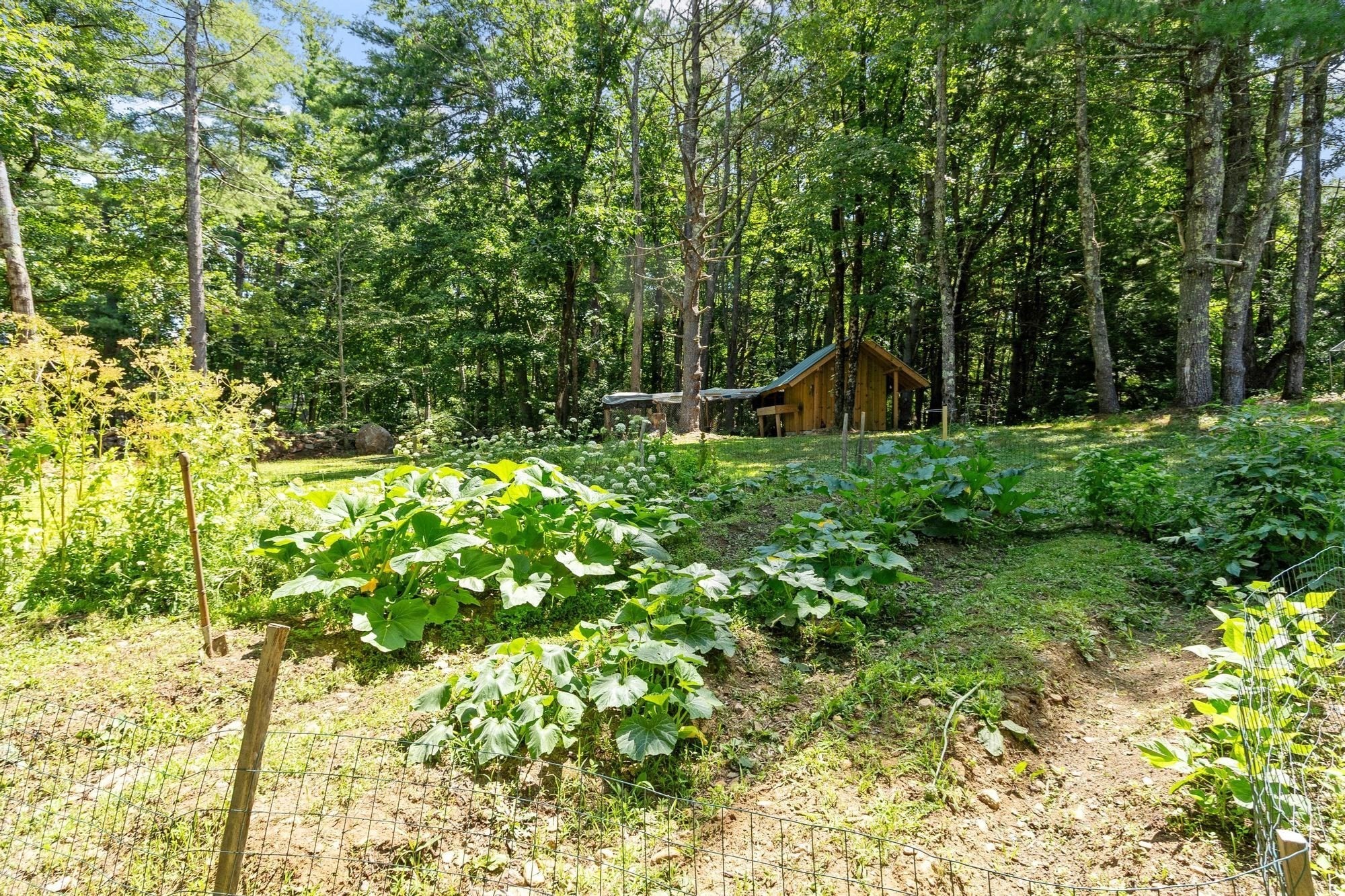27 Natty Pond Dr Property Photo 36