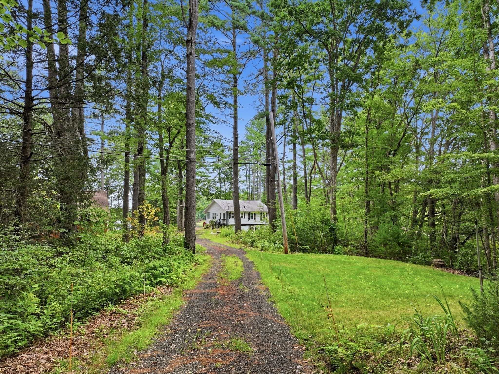 99 Lakeshore Drive Property Photo 21