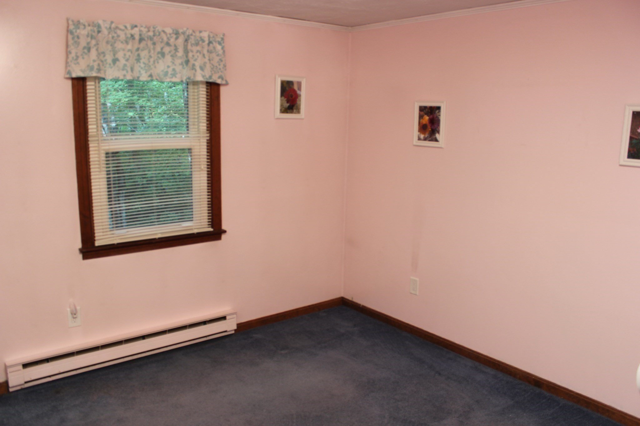 16 Wallum Lake Rd Property Photo 9