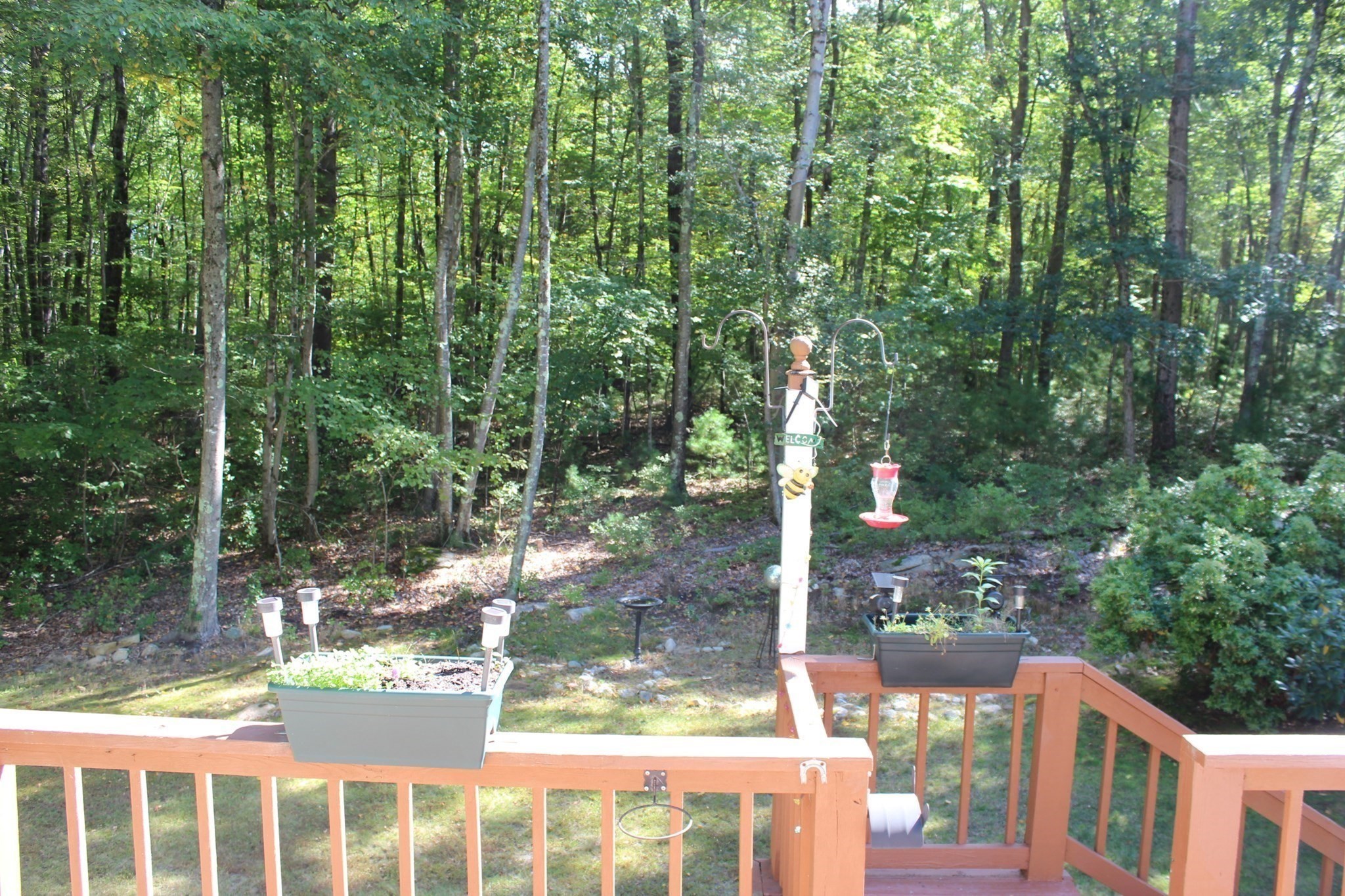 16 Wallum Lake Rd Property Photo 25
