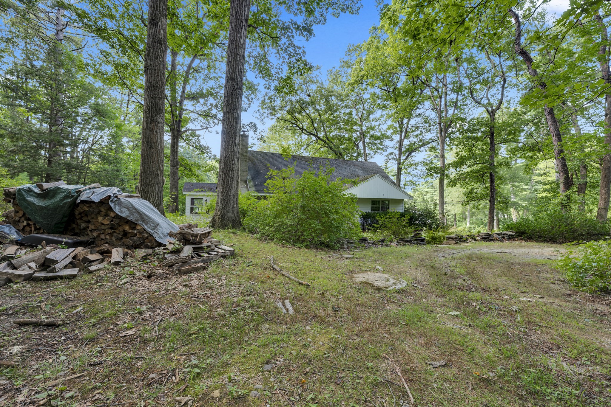 21 Wells Park Rd Property Photo 29