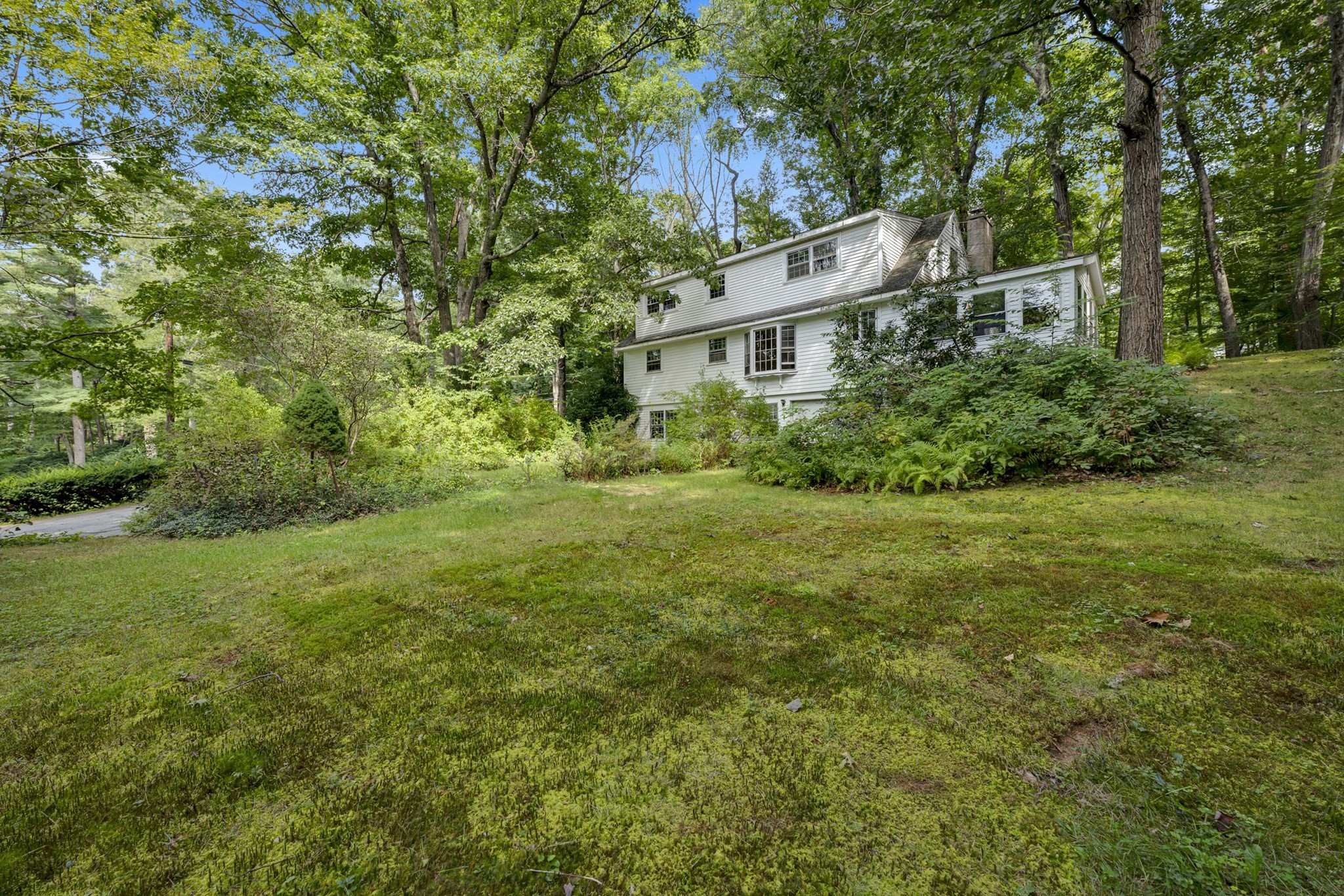 21 Wells Park Rd Property Photo 31