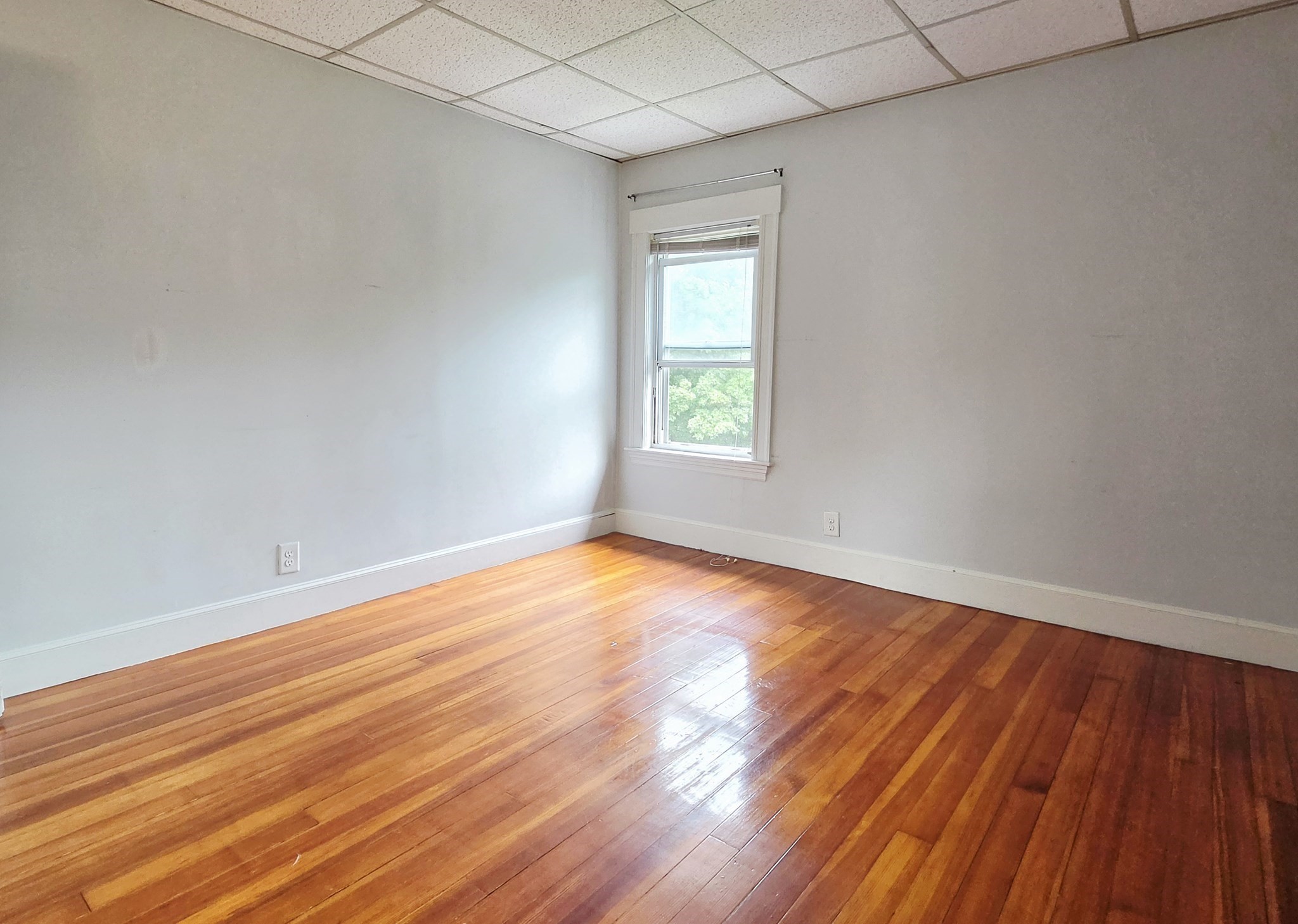 28 Whitney Street # 2r Property Photo 11