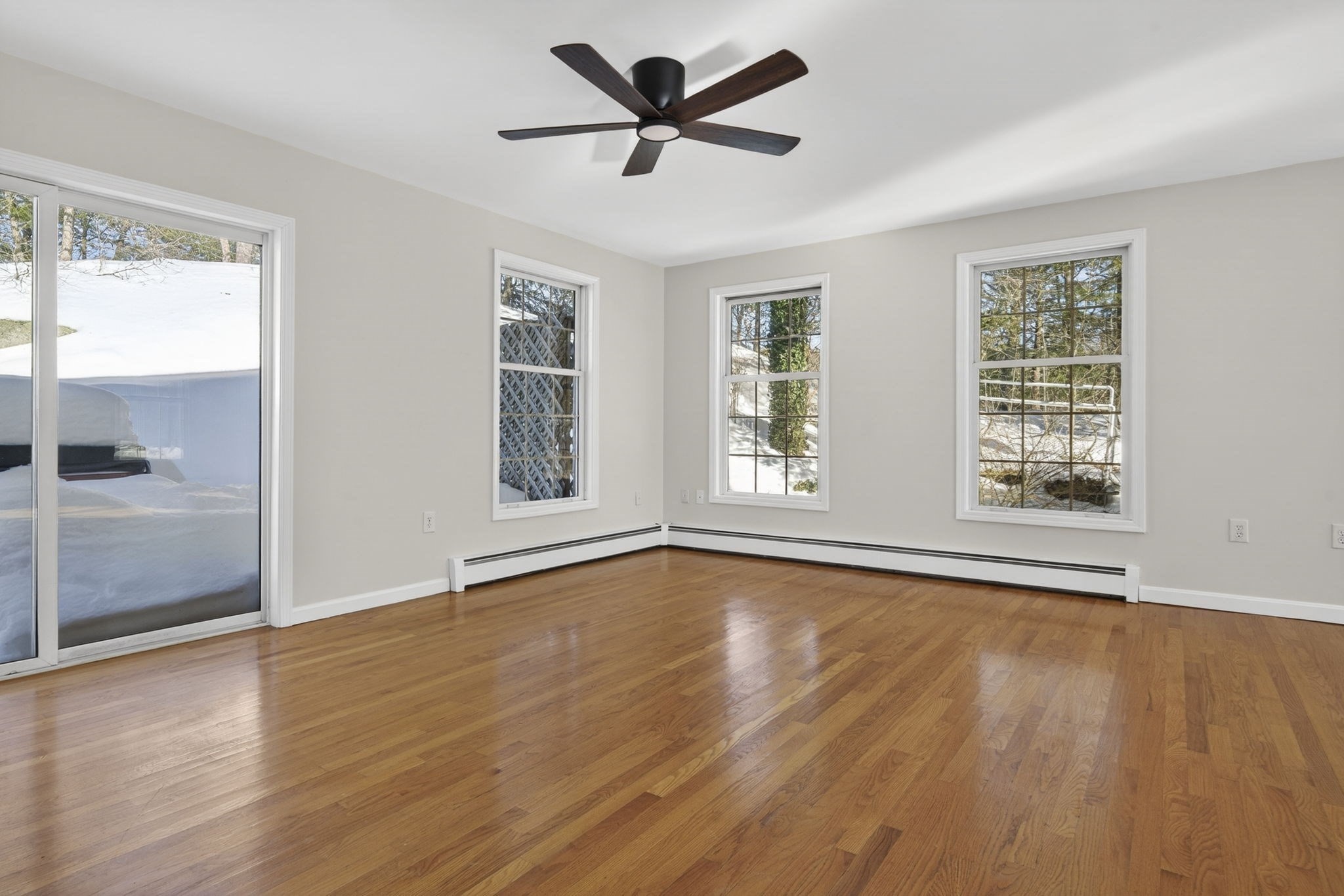 159 Pine St Property Photo 14