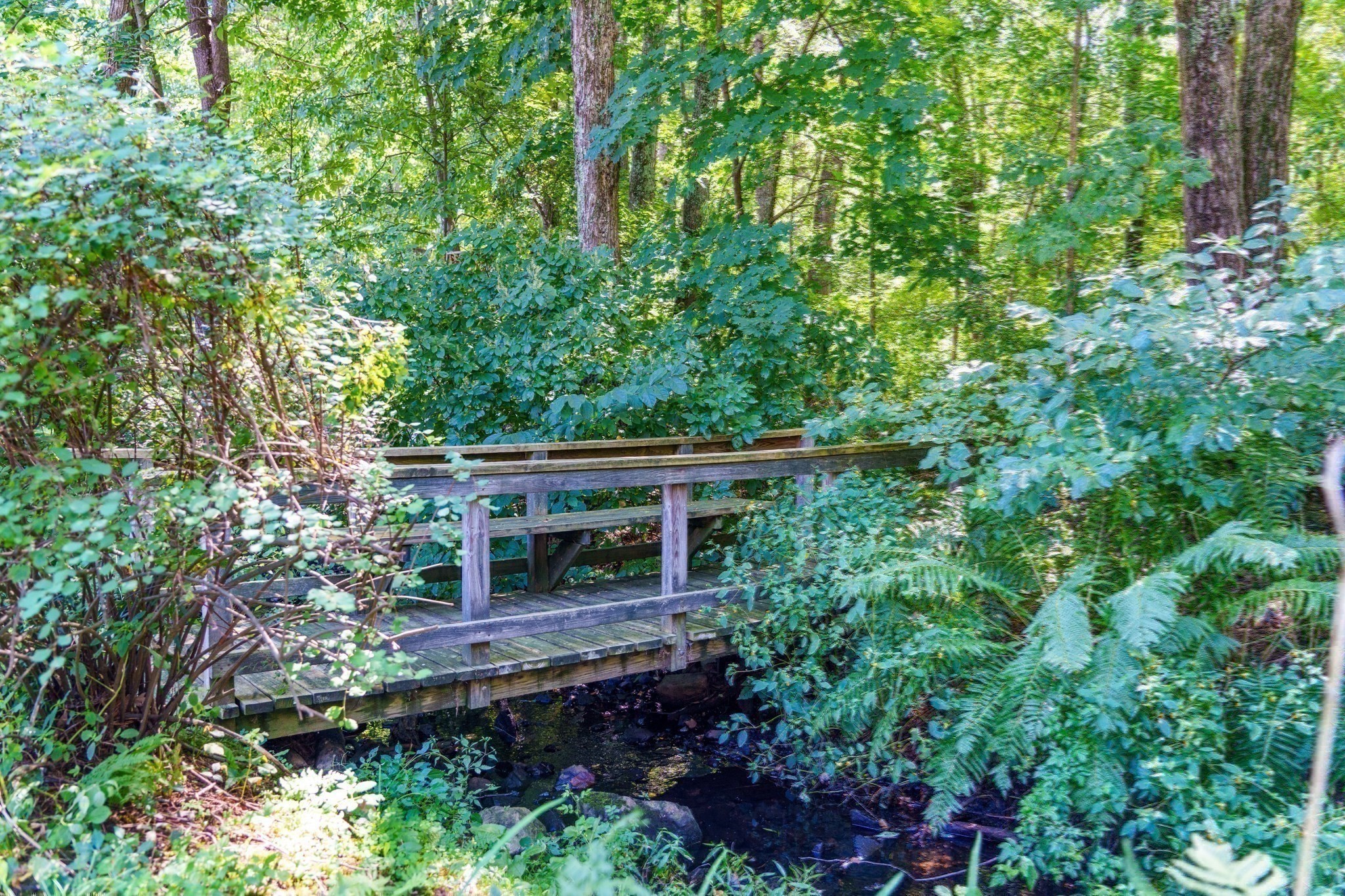 12 Clarridge Circle Property Photo 35
