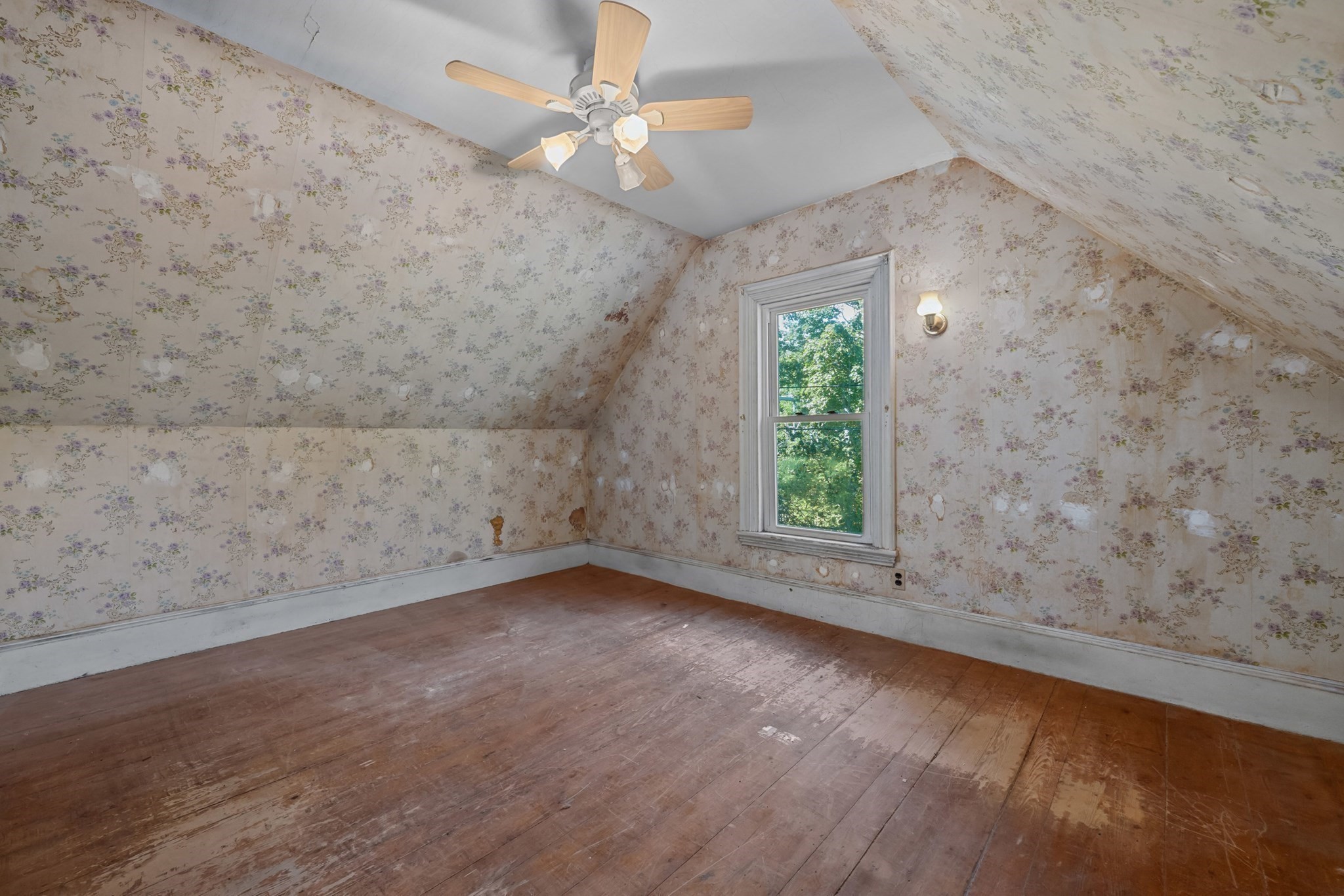 5 Westminster St Property Photo 16