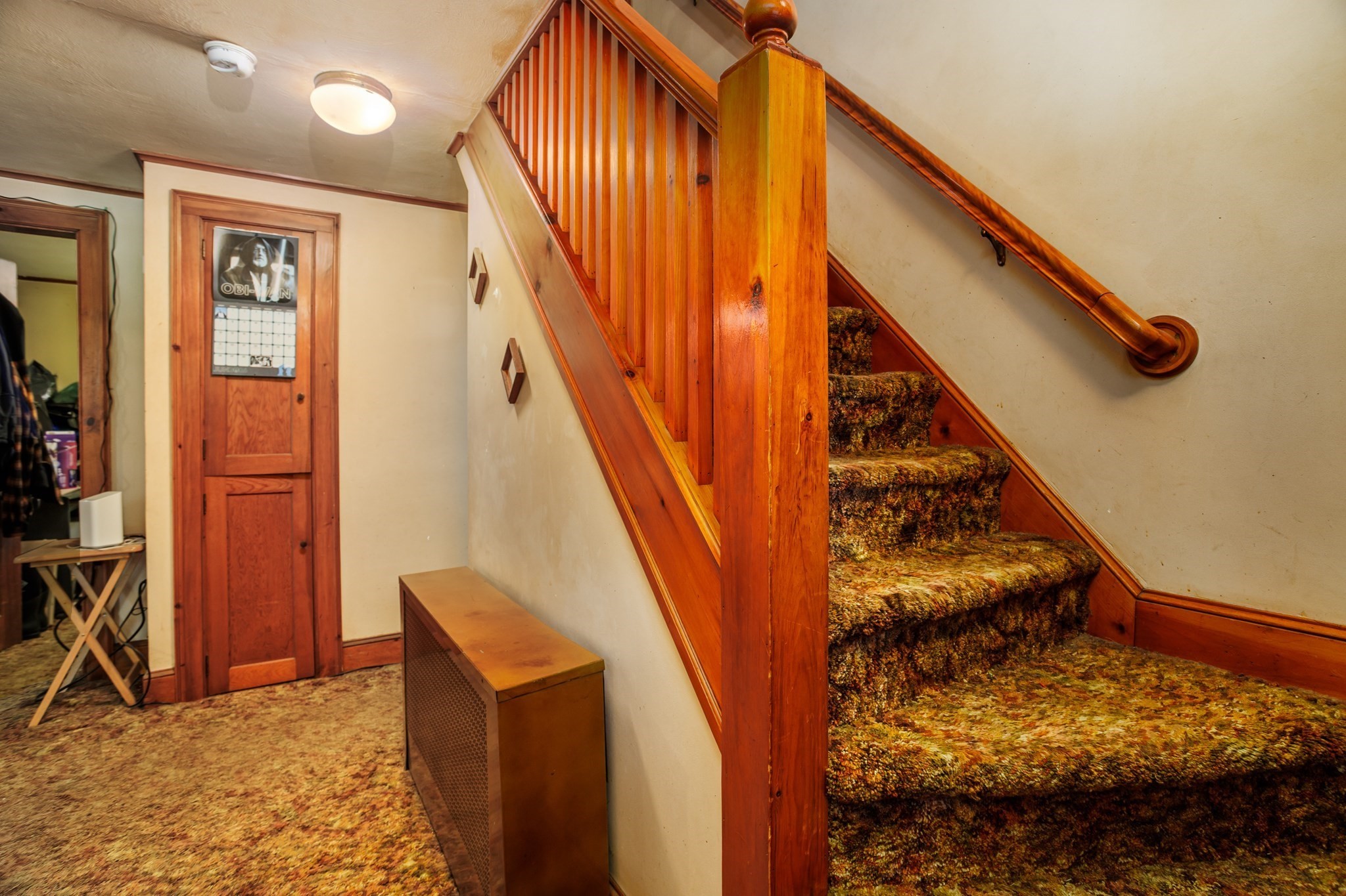 87 Ashfield Rd Property Photo 17
