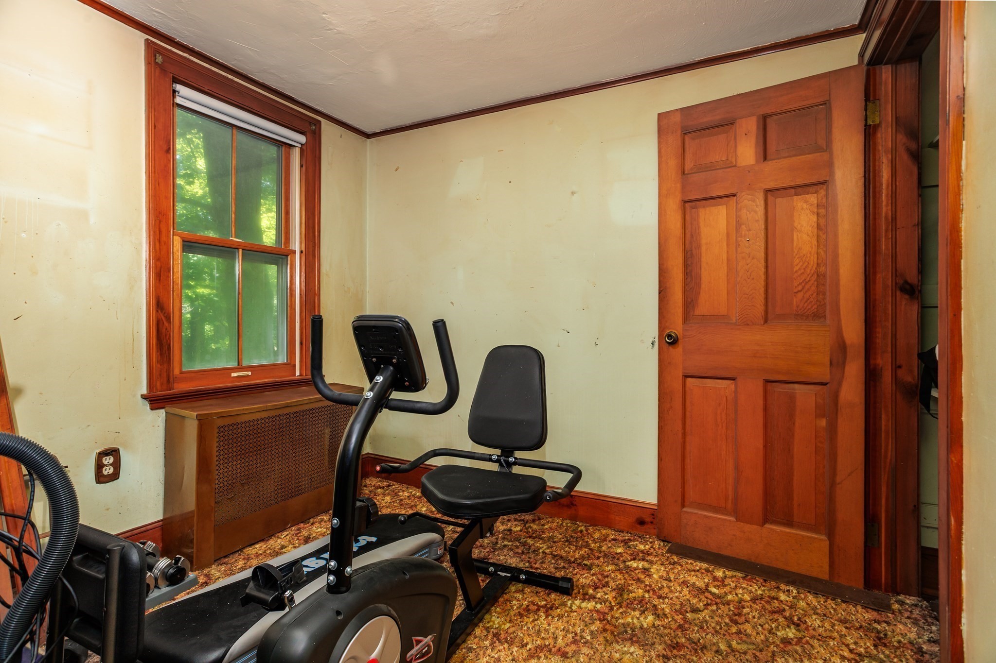 87 Ashfield Rd Property Photo 19