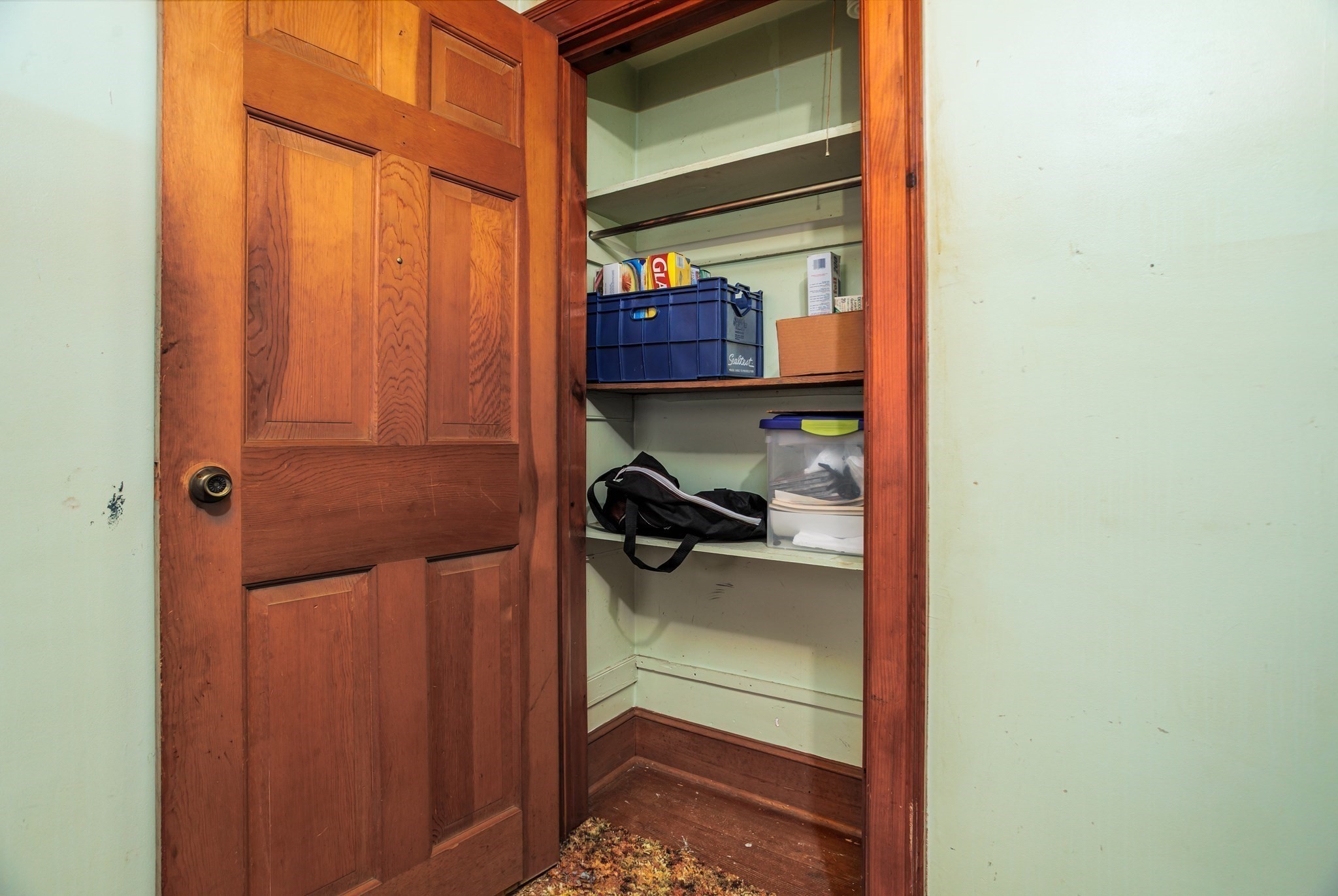 87 Ashfield Rd Property Photo 20