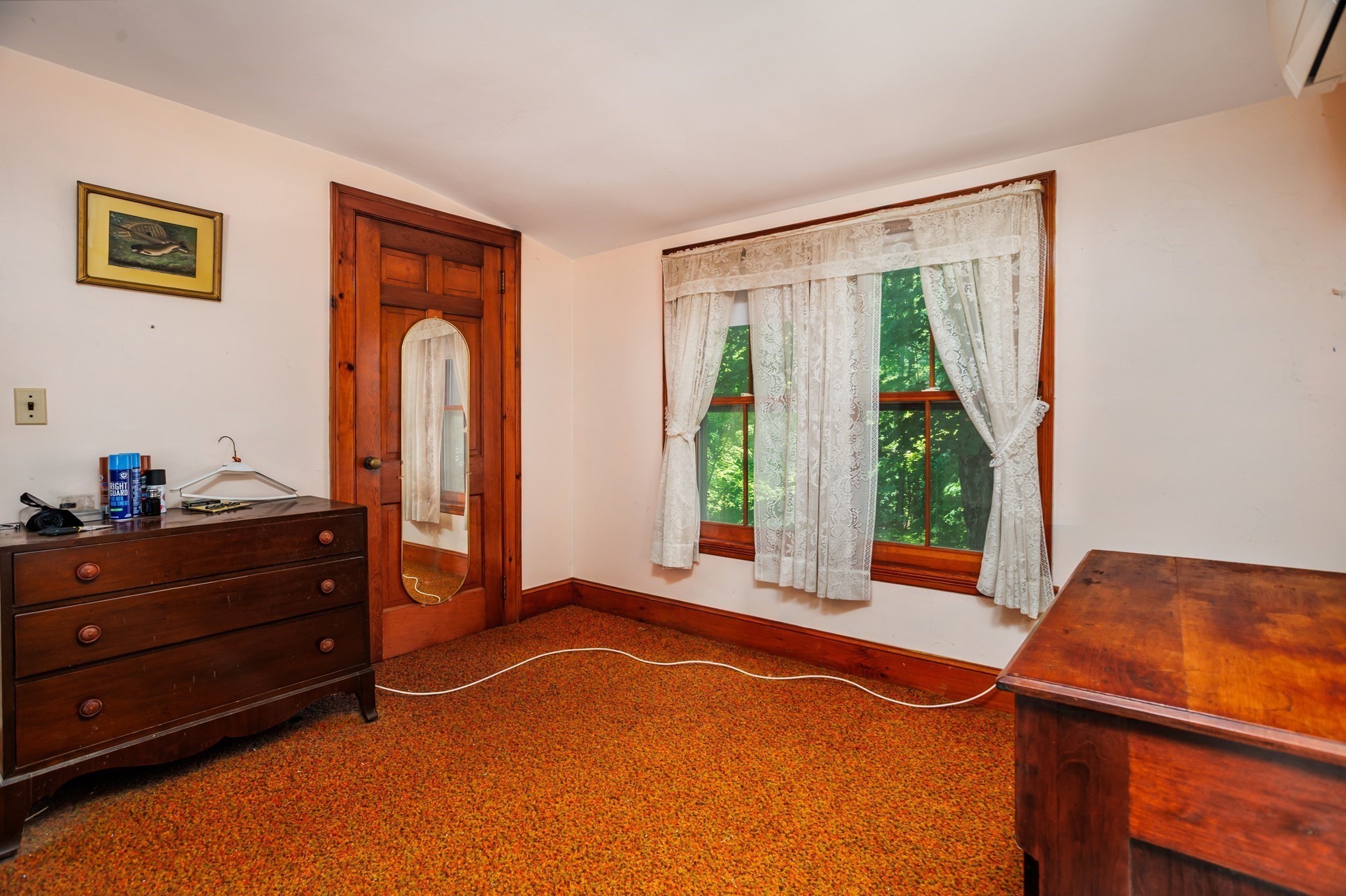 87 Ashfield Rd Property Photo 24
