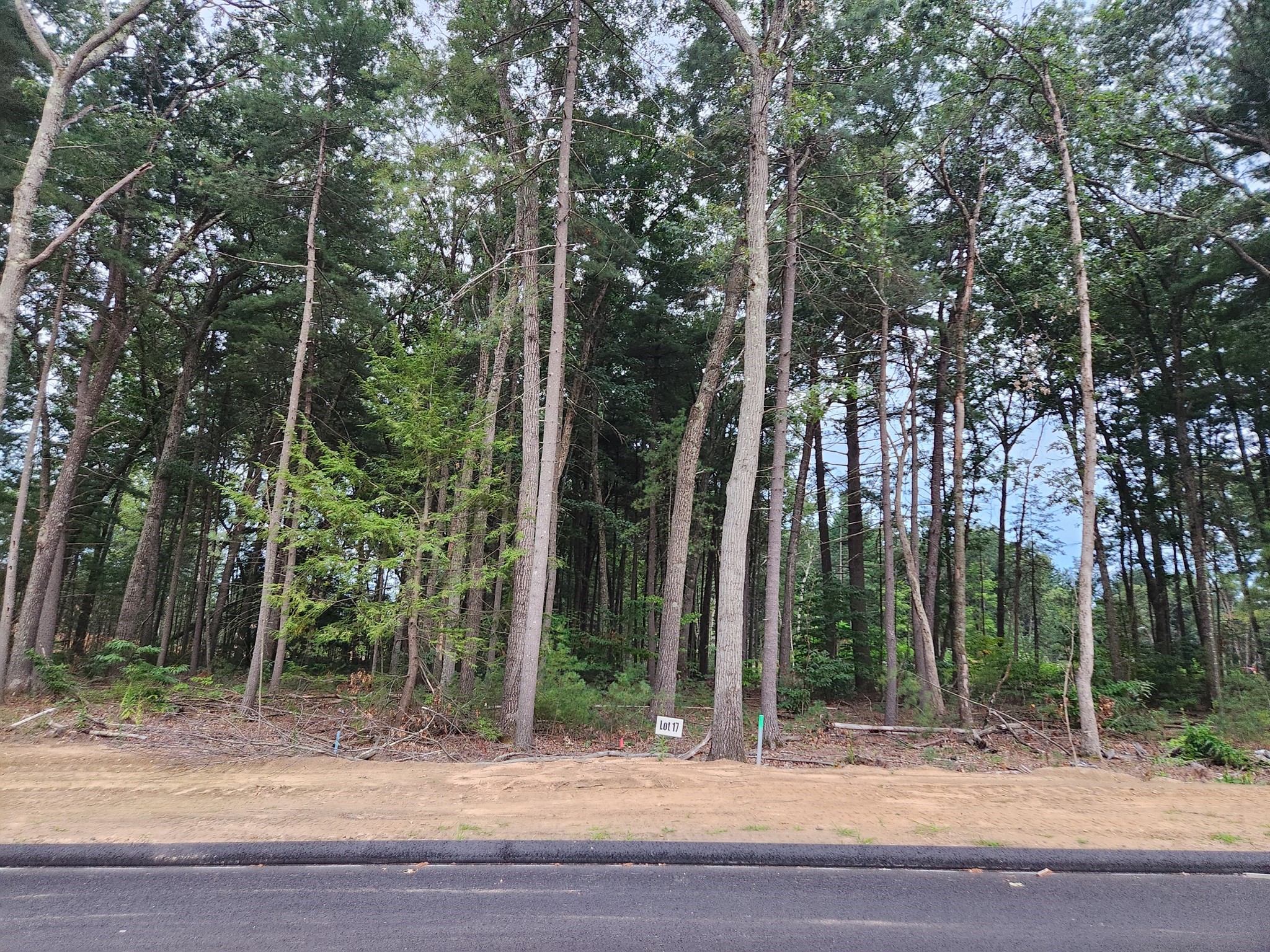 Lot 17 Nathaniel Hill Property Photo 1
