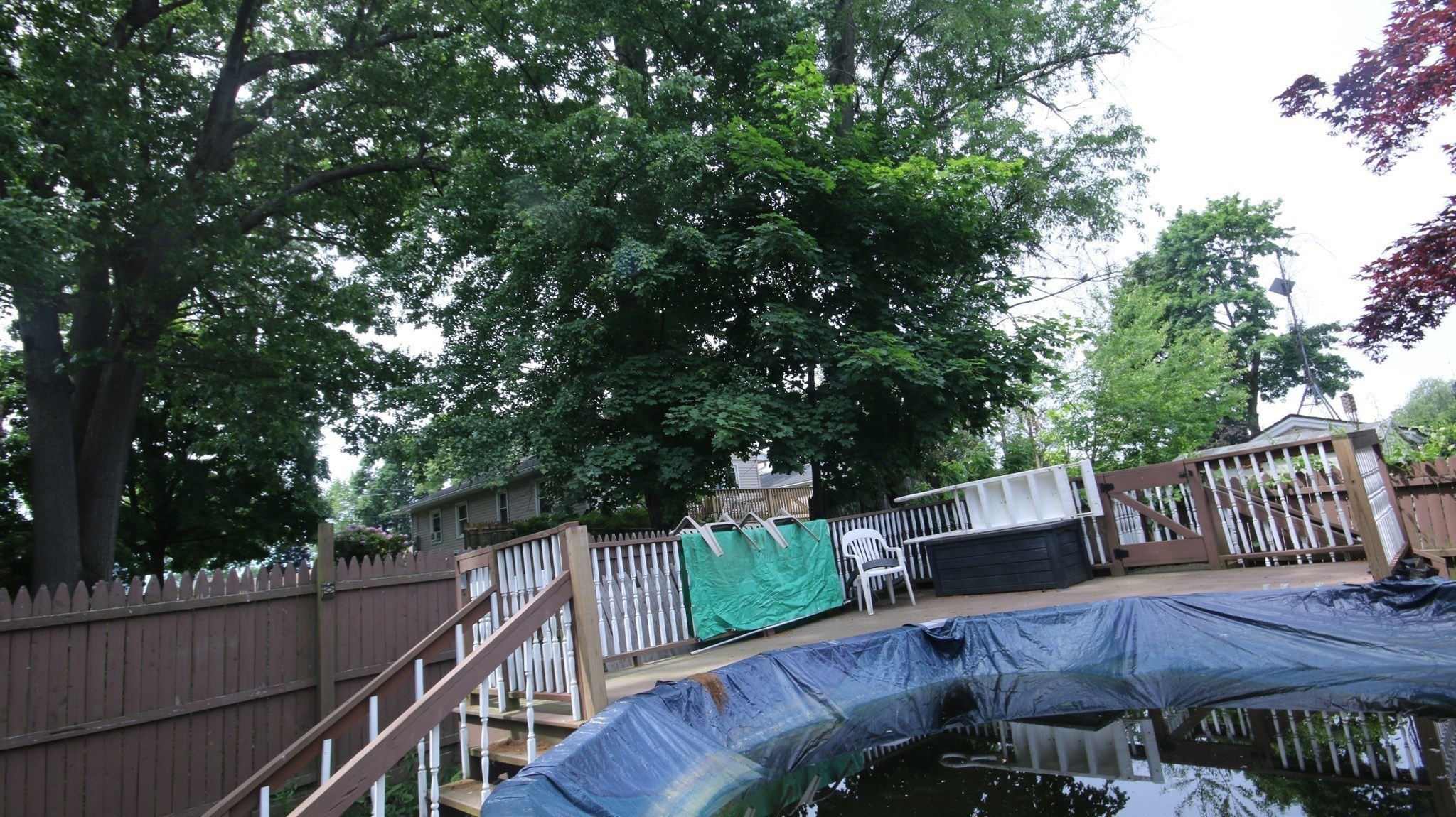 61 Austin St Property Photo 19