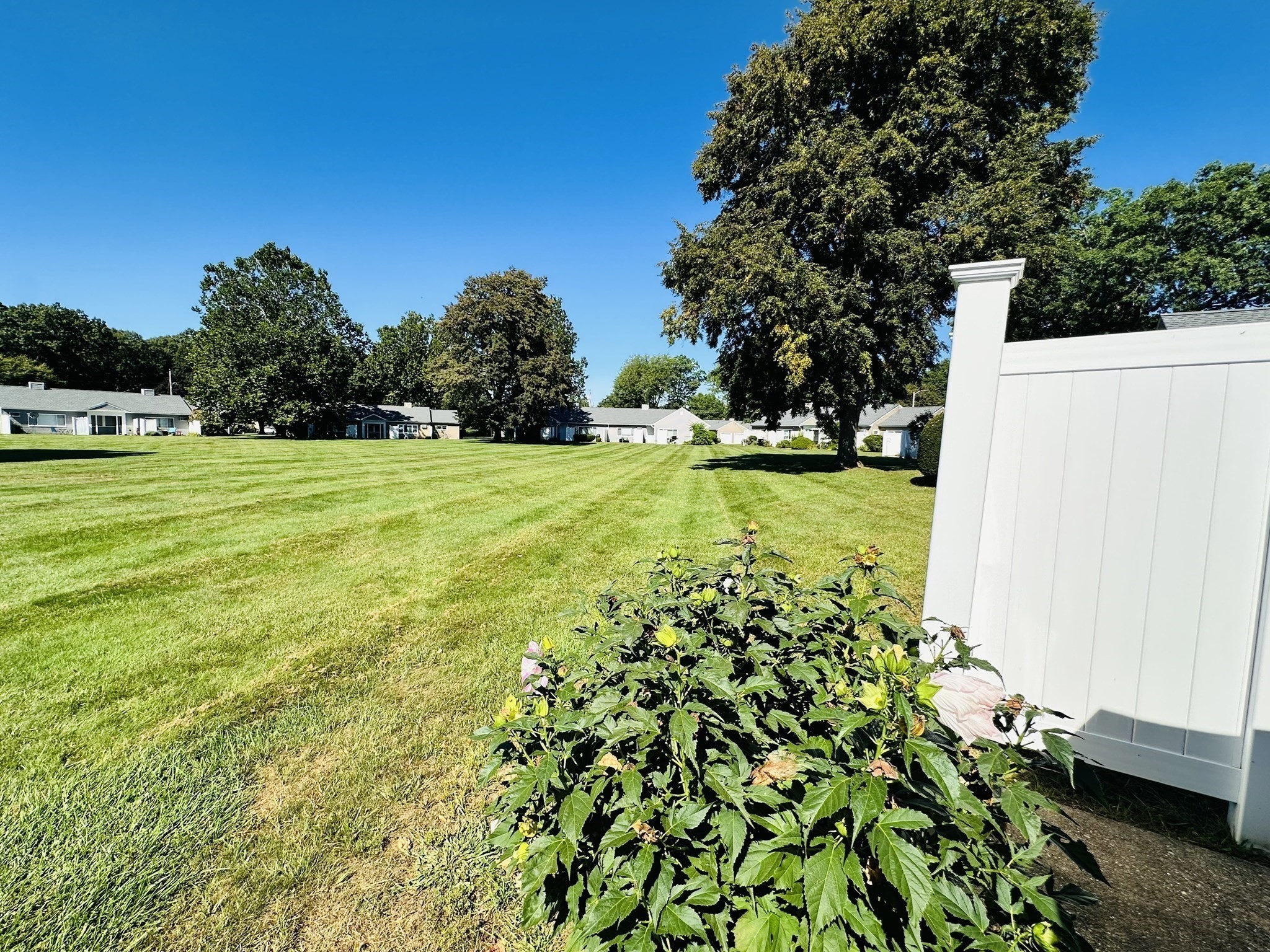 162 Horseshoe Dr # 162 Property Photo 23