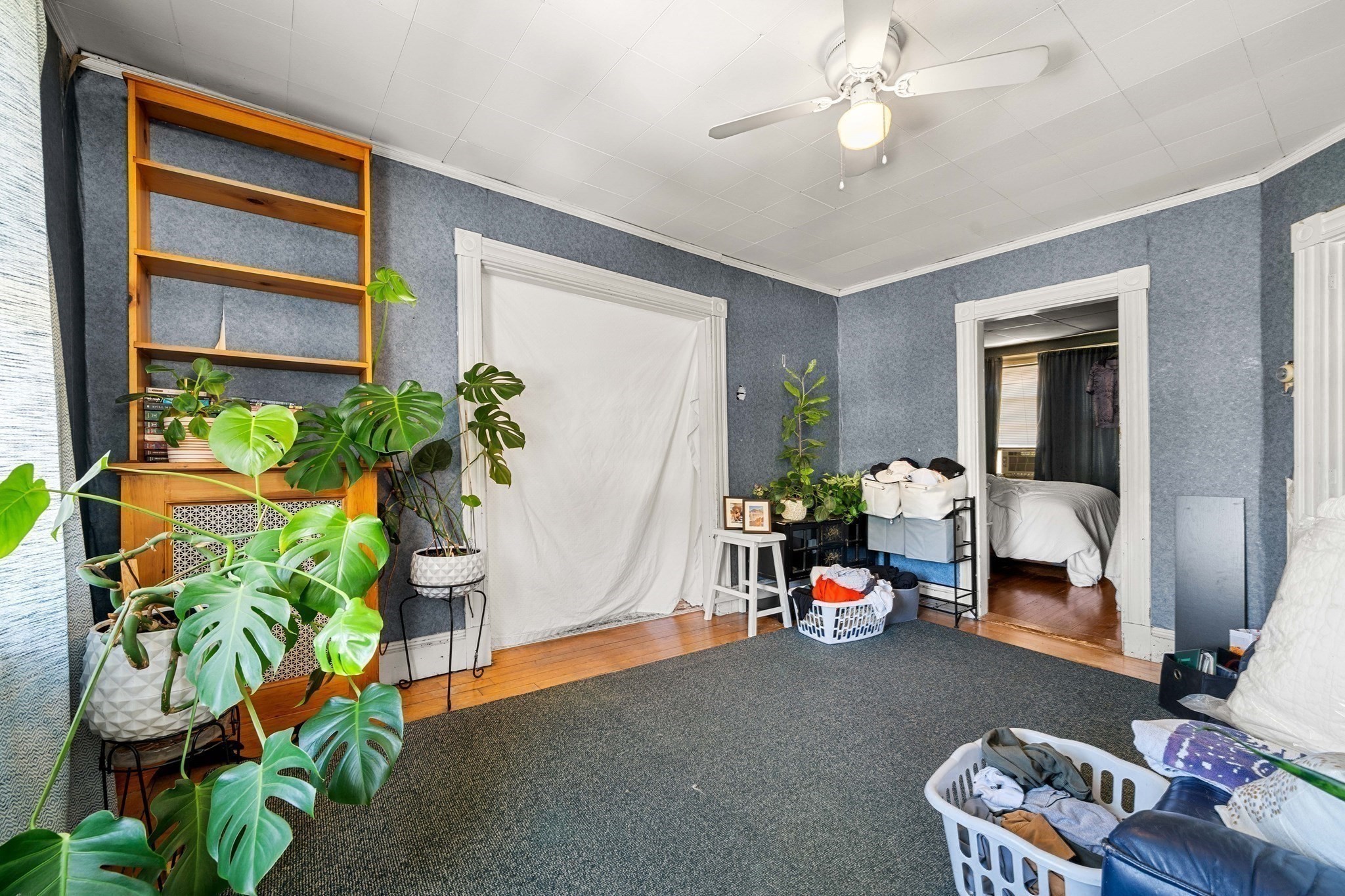 21 Jackson St Property Photo 20