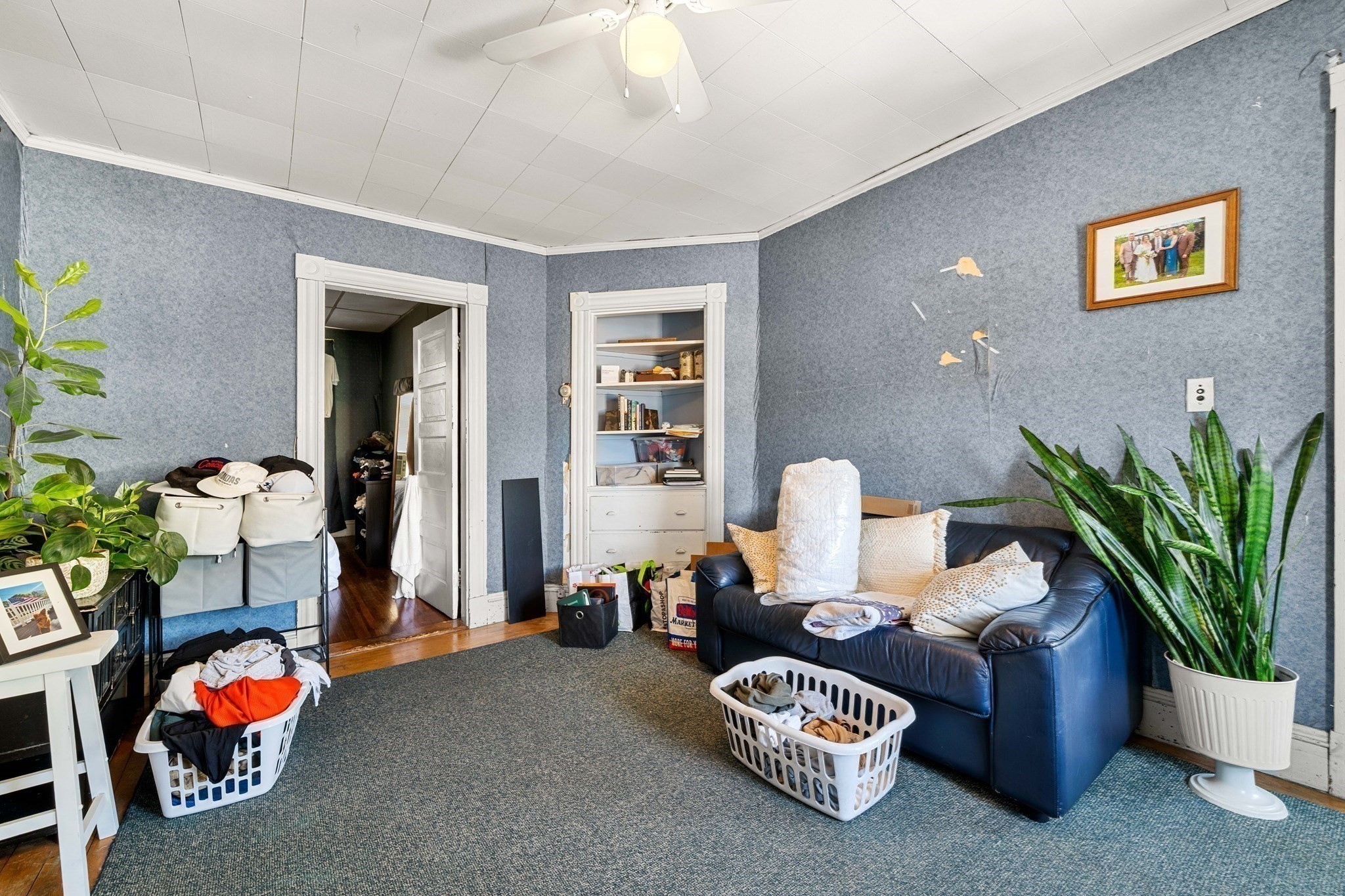 21 Jackson St Property Photo 21