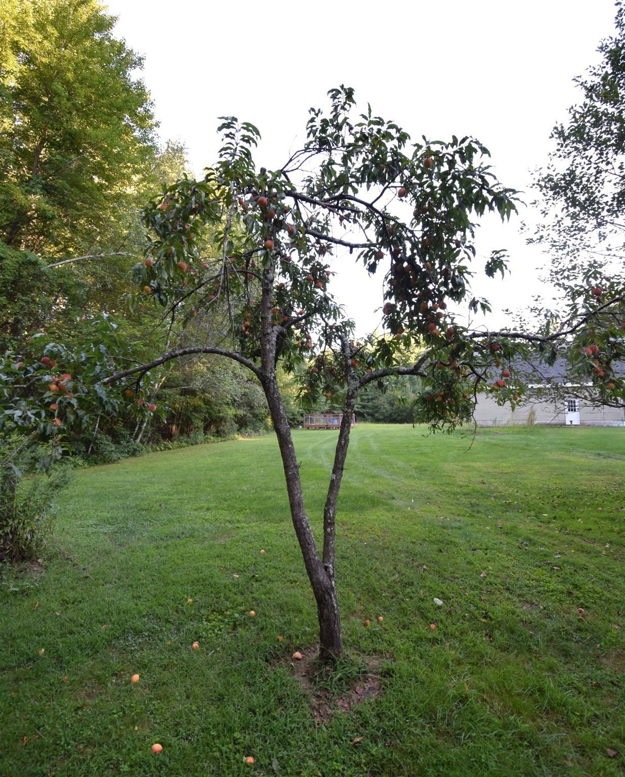287 Middle Road Property Photo 39