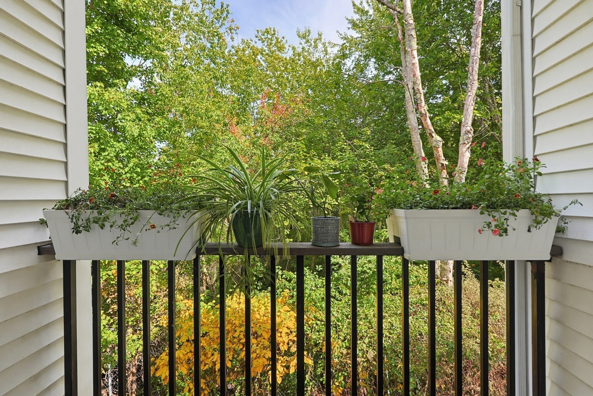 117 Tall Oaks Dr # G Property Photo 15