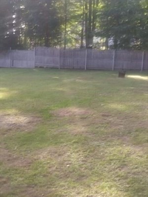 75 Dale Ave Property Photo 5