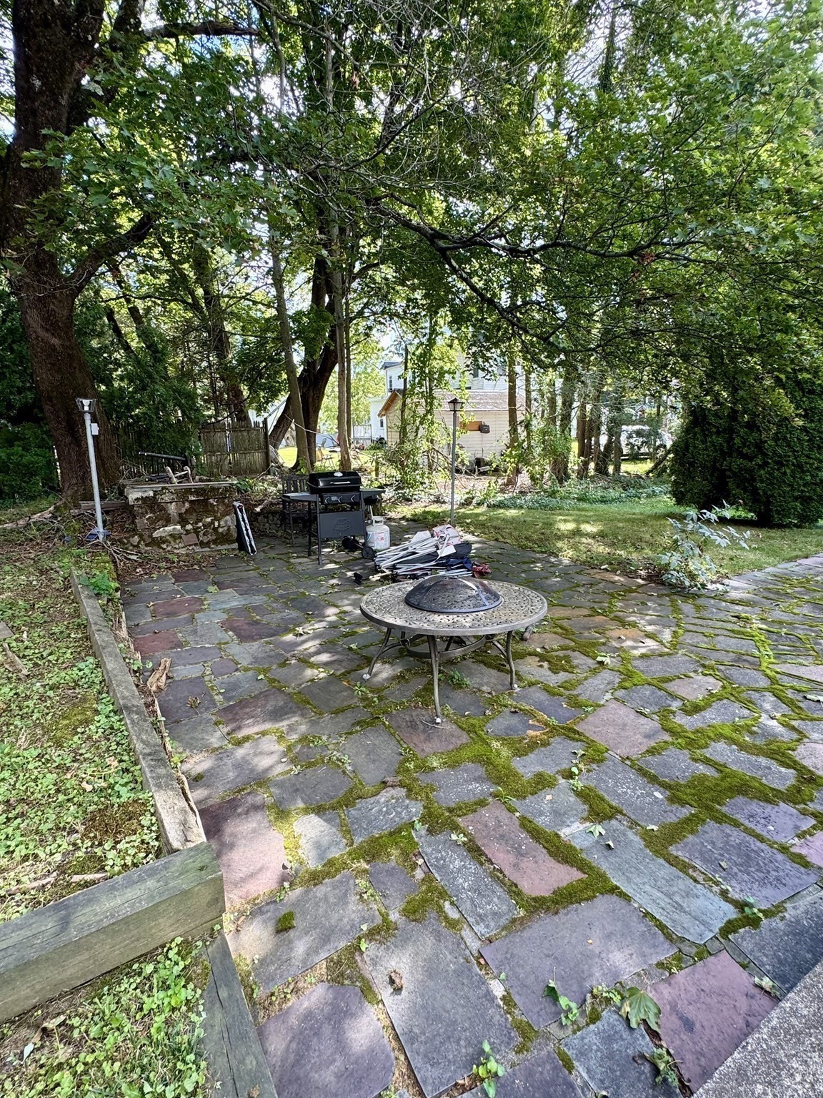 33 E Chestnut St Property Photo 9