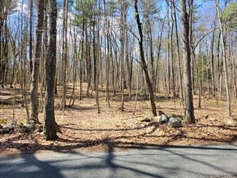 Lot 2 Daniels Road Property Photo 1