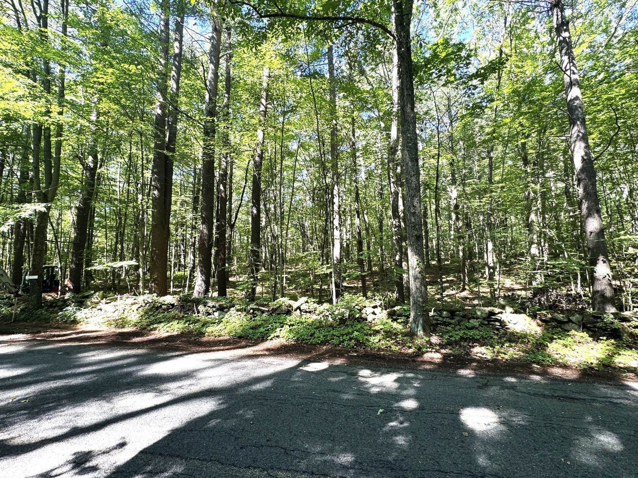 Lot 2 Daniels Road Property Photo 1
