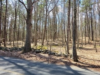 Lot 2 Daniels Road Property Photo 2