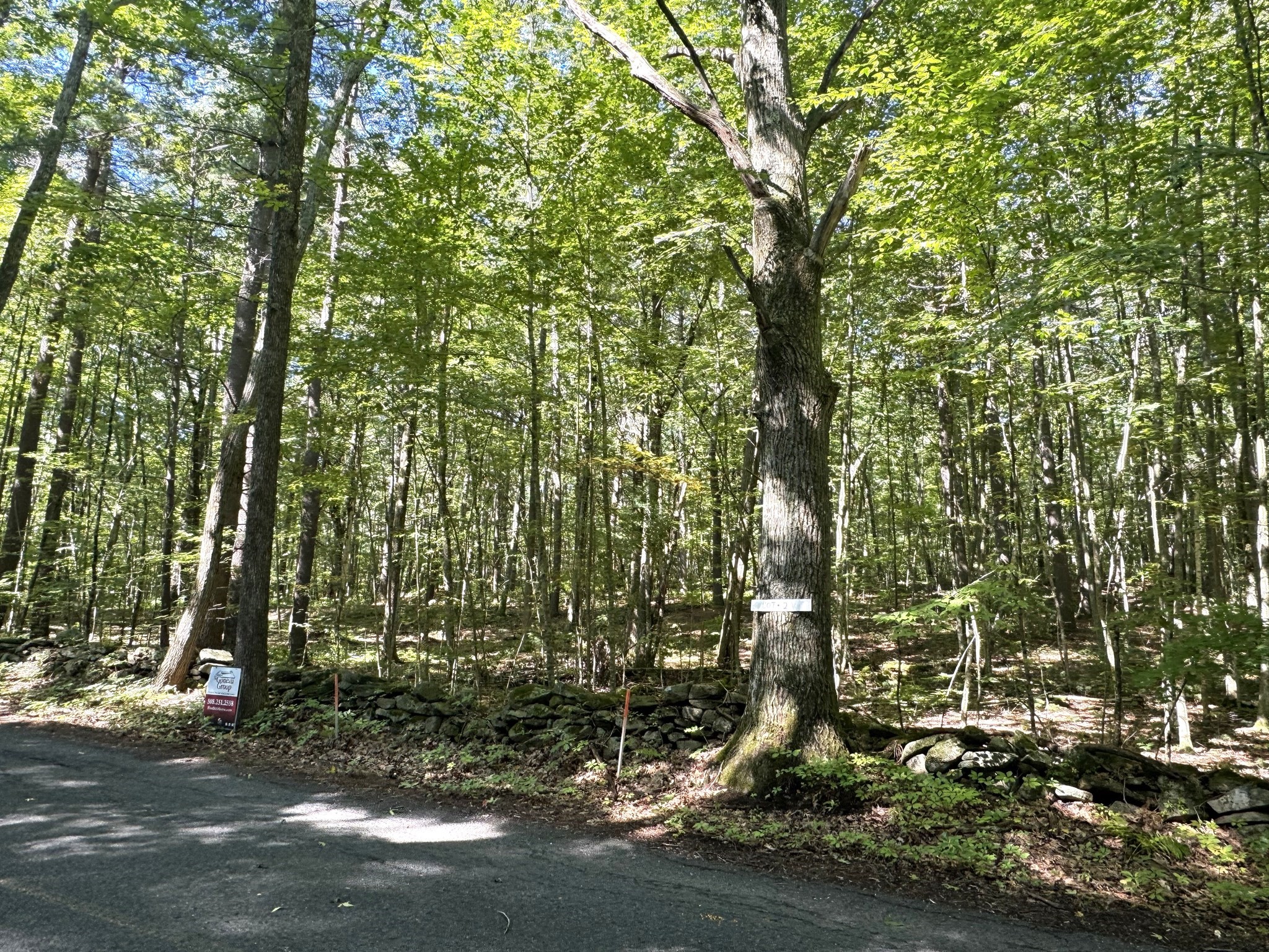 Lot 2 Daniels Road Property Photo 4