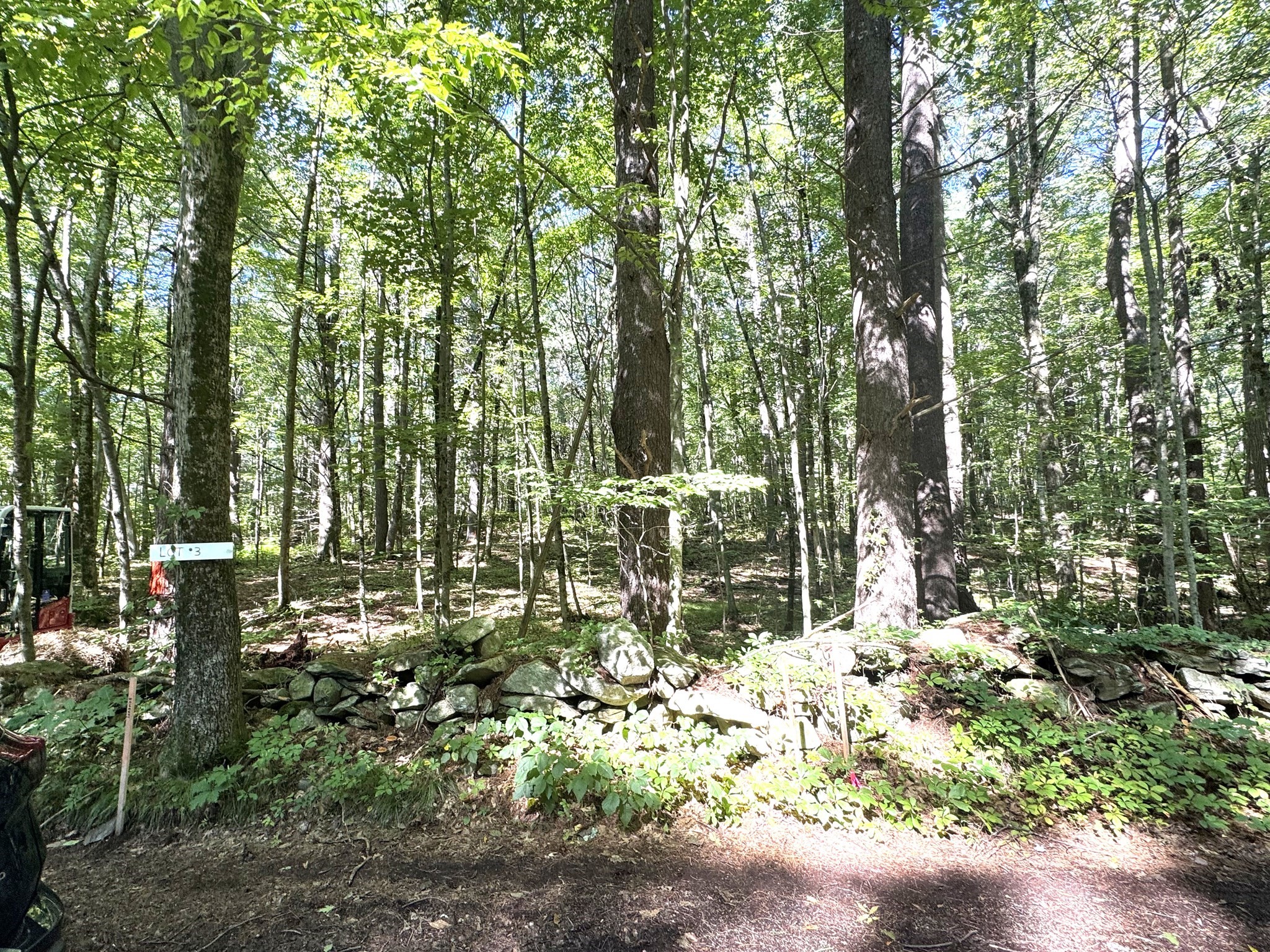 Lot 2 Daniels Road Property Photo 5