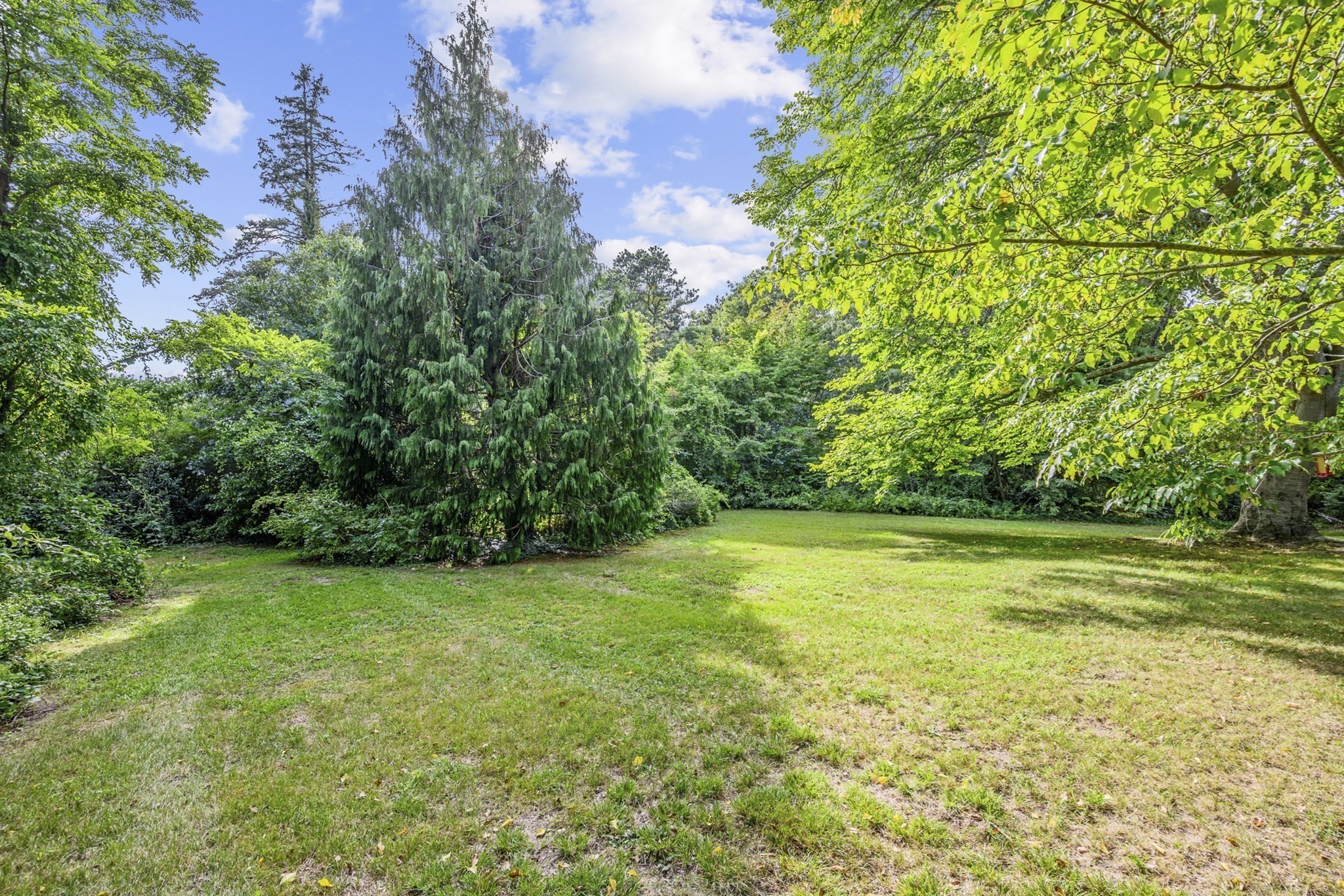204 Waquoit Hwy Property Photo 25