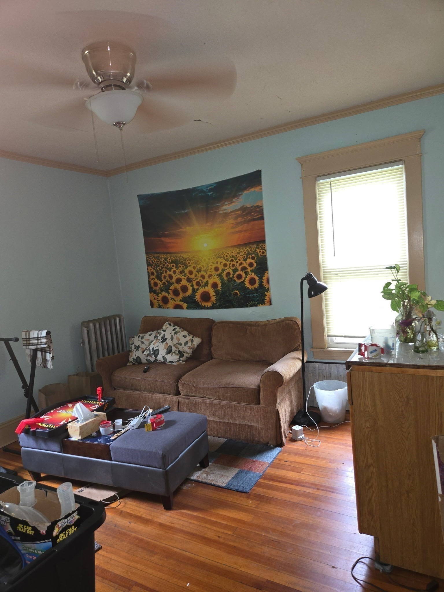 81 Lyndale St Property Photo 8