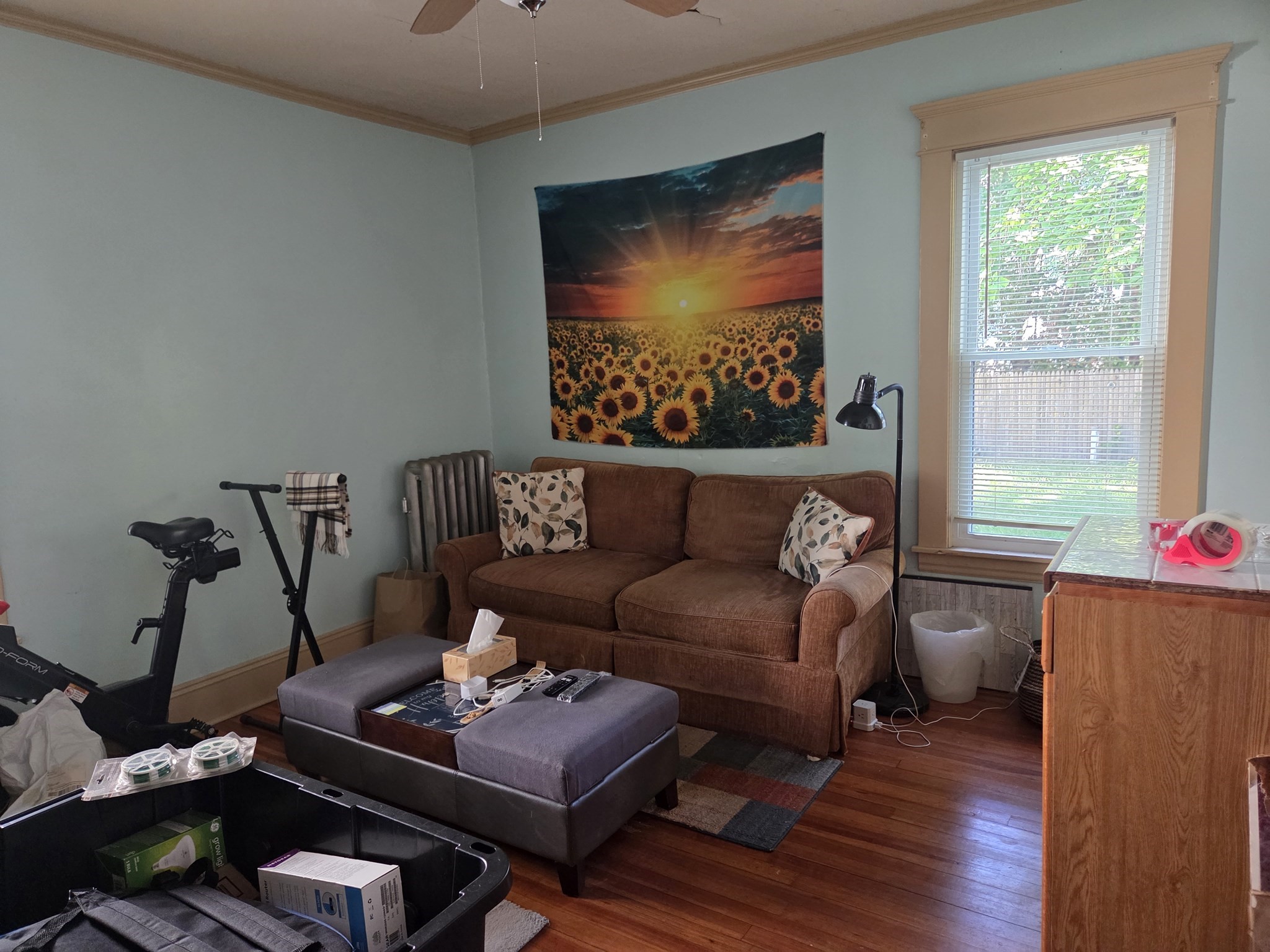 81 Lyndale St Property Photo 20