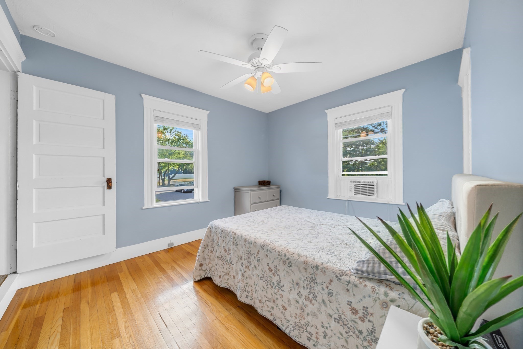 17 Nowell Street Property Photo 20
