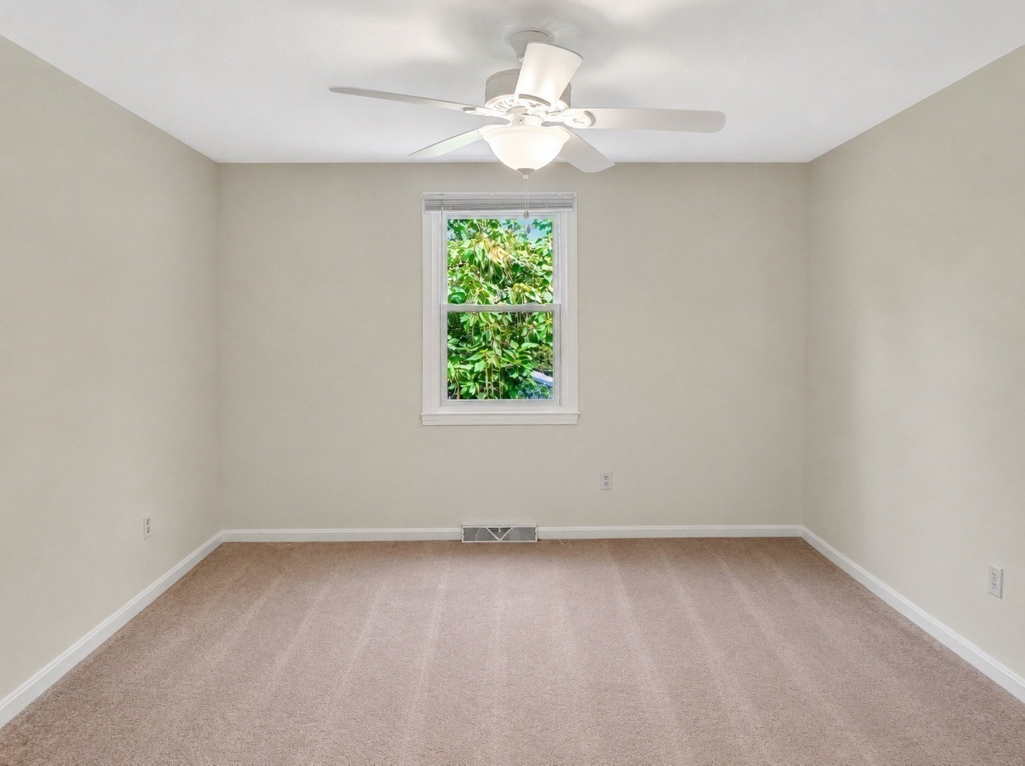16 Andrew Avenue Property Photo 19