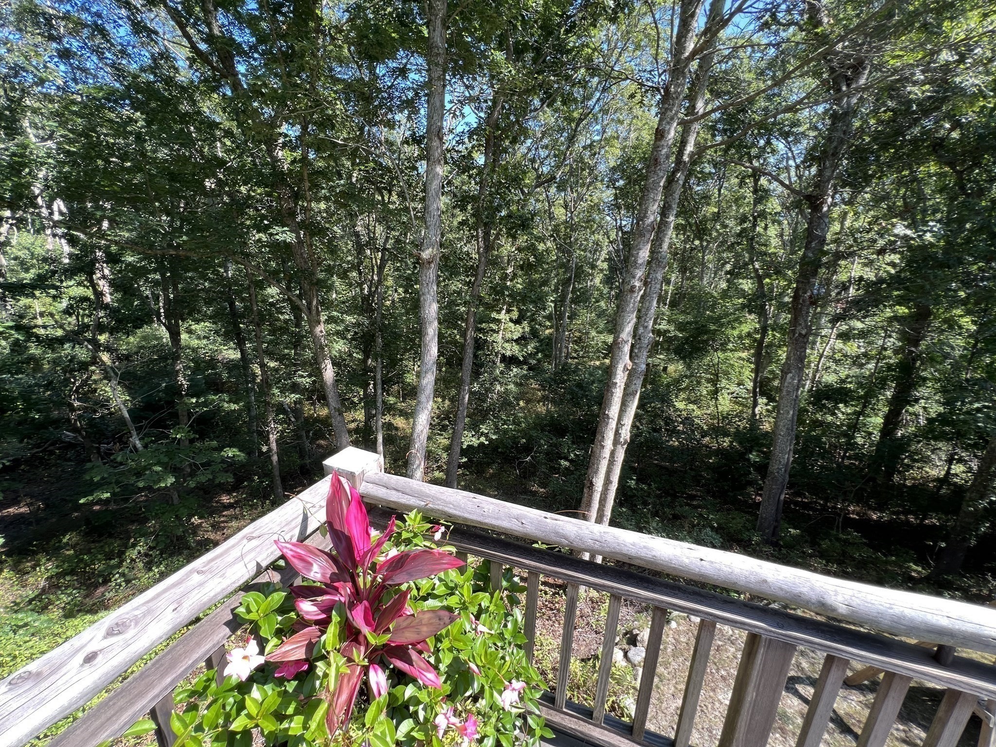 18 Sylvan Avenue Property Photo 28