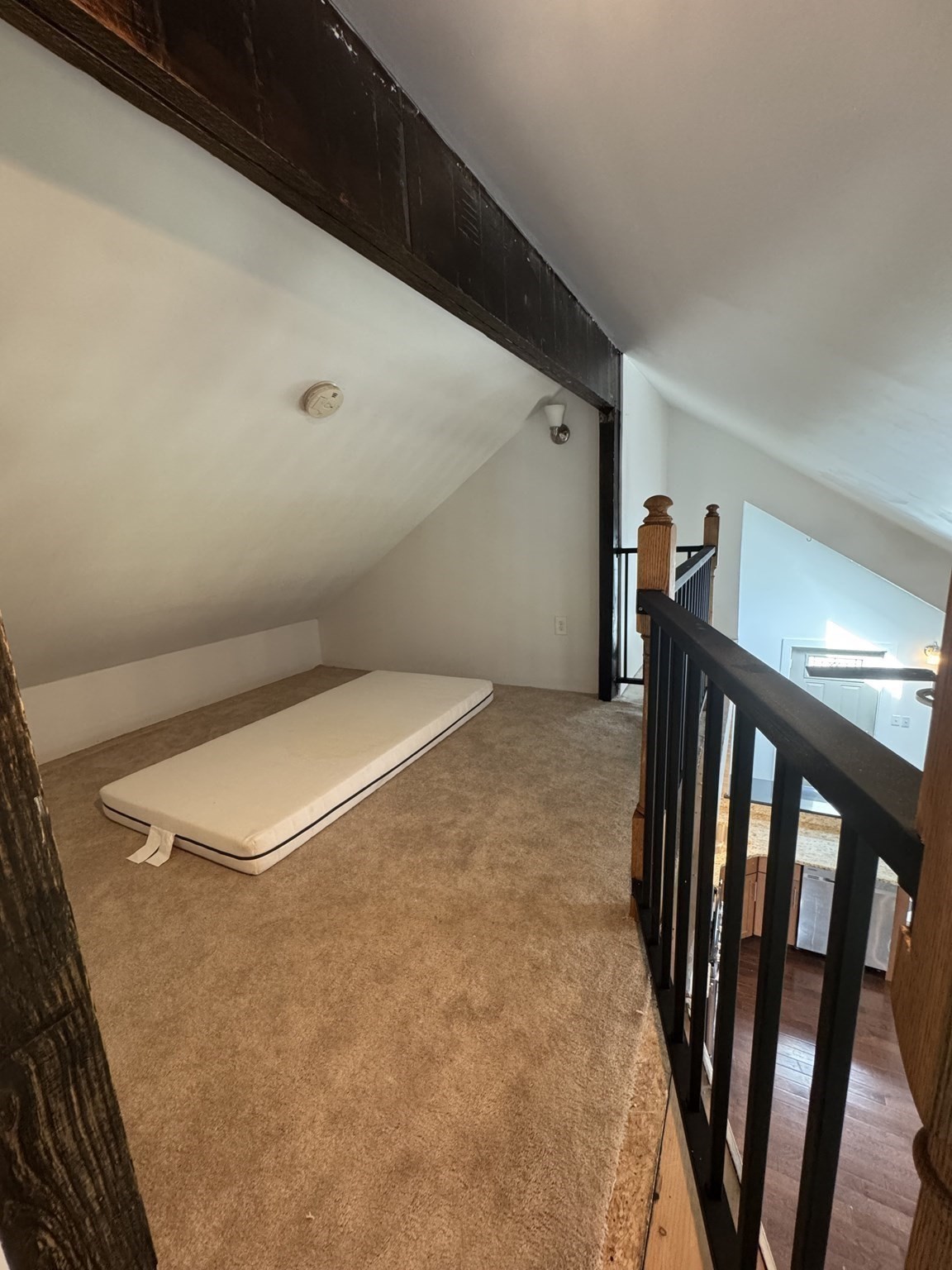8 Calvin St Property Photo 27