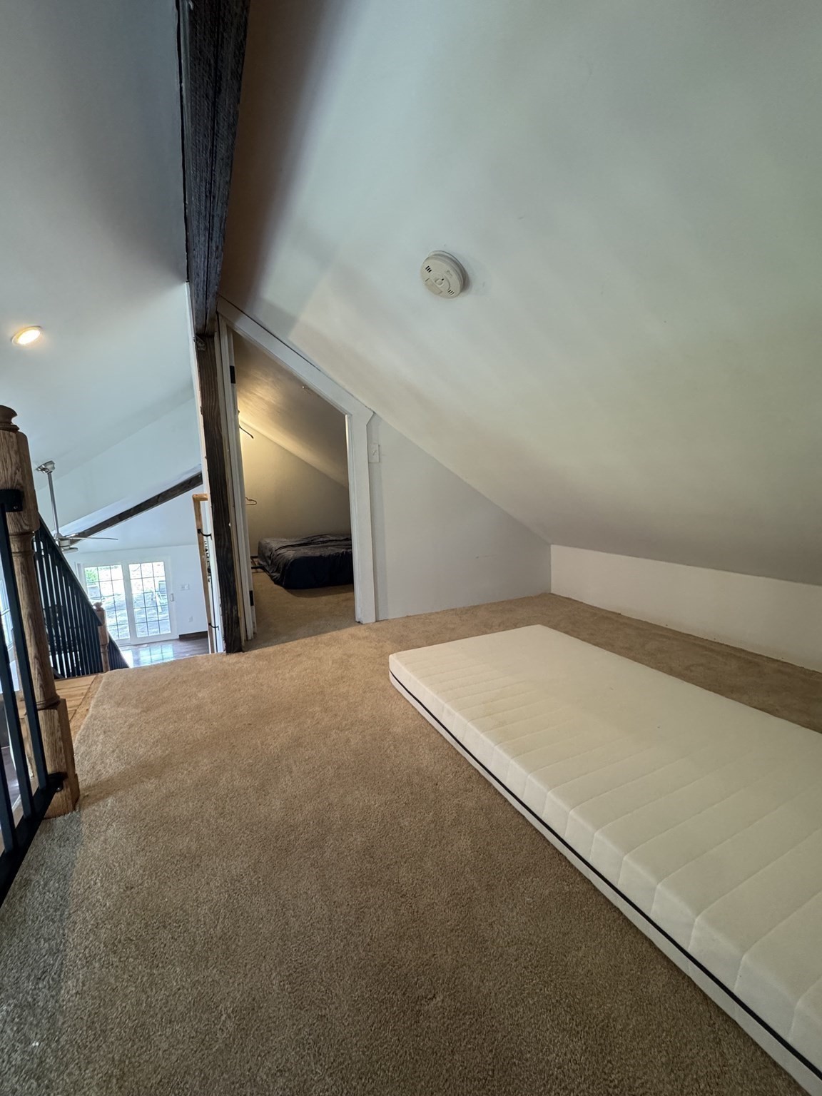 8 Calvin St Property Photo 28