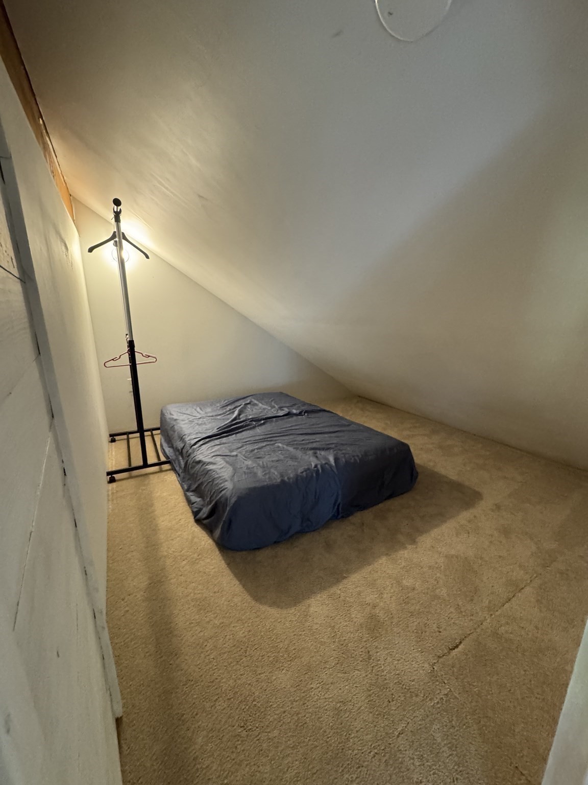 8 Calvin St Property Photo 29