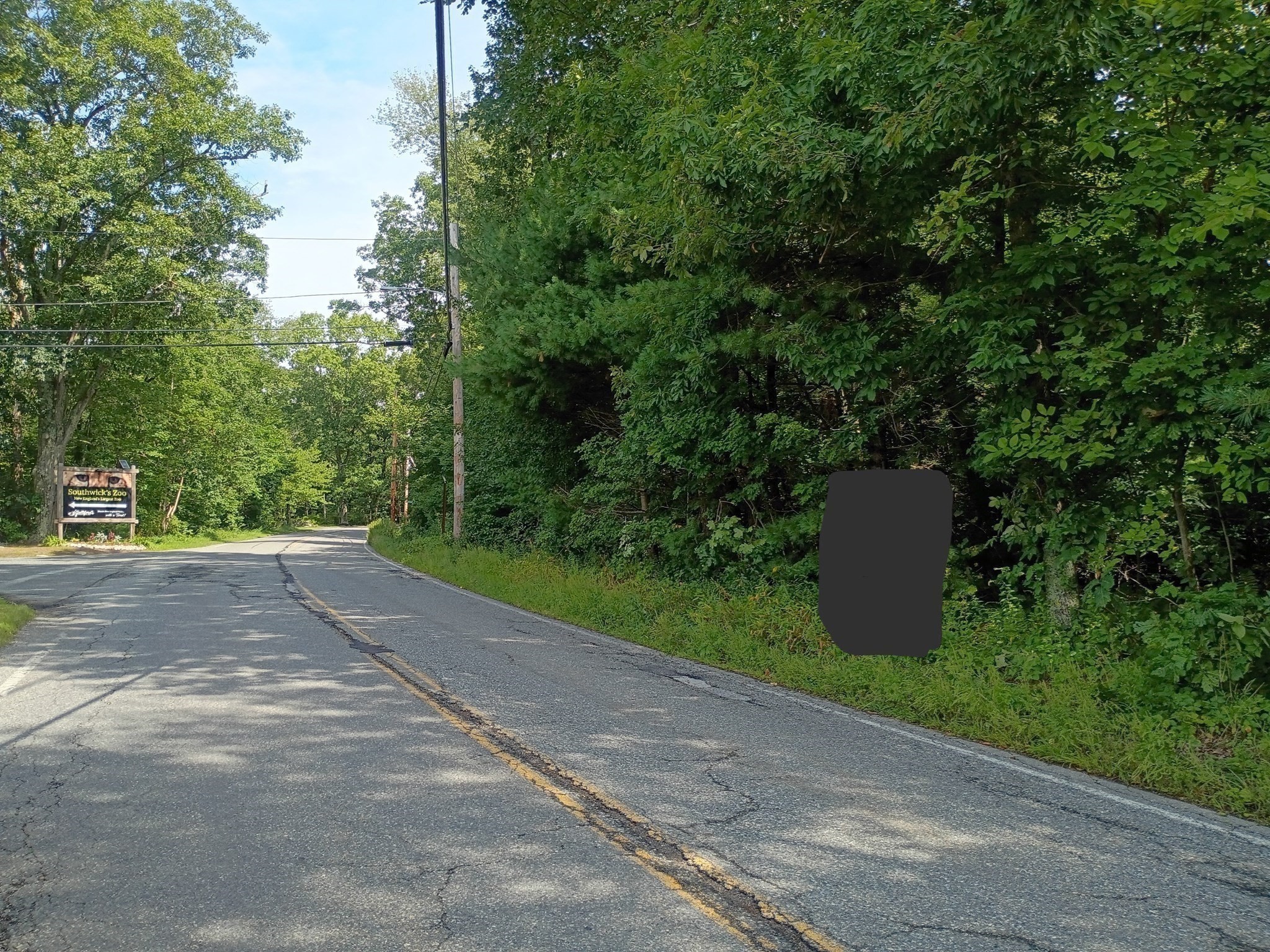522 Chestnut Hill Property Photo 4