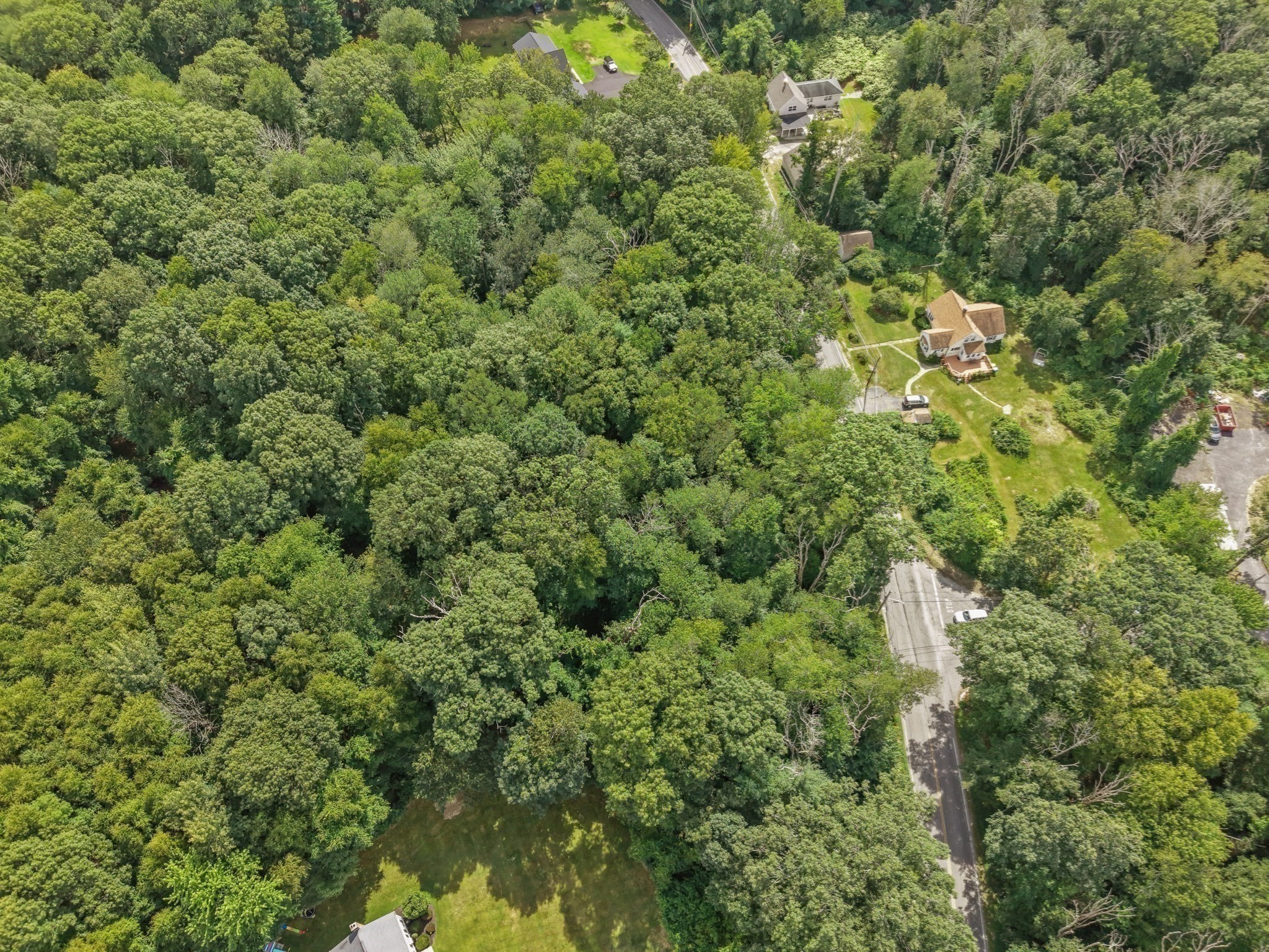 522 Chestnut Hill Property Photo 12