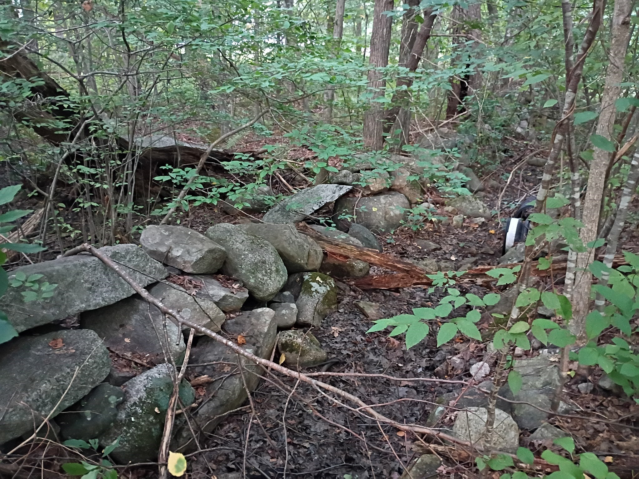 522 Chestnut Hill Property Photo 13